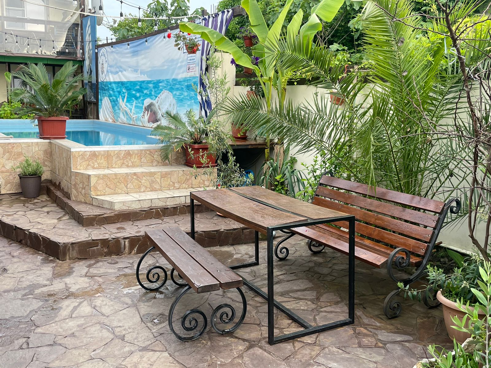 Фото У Палыча