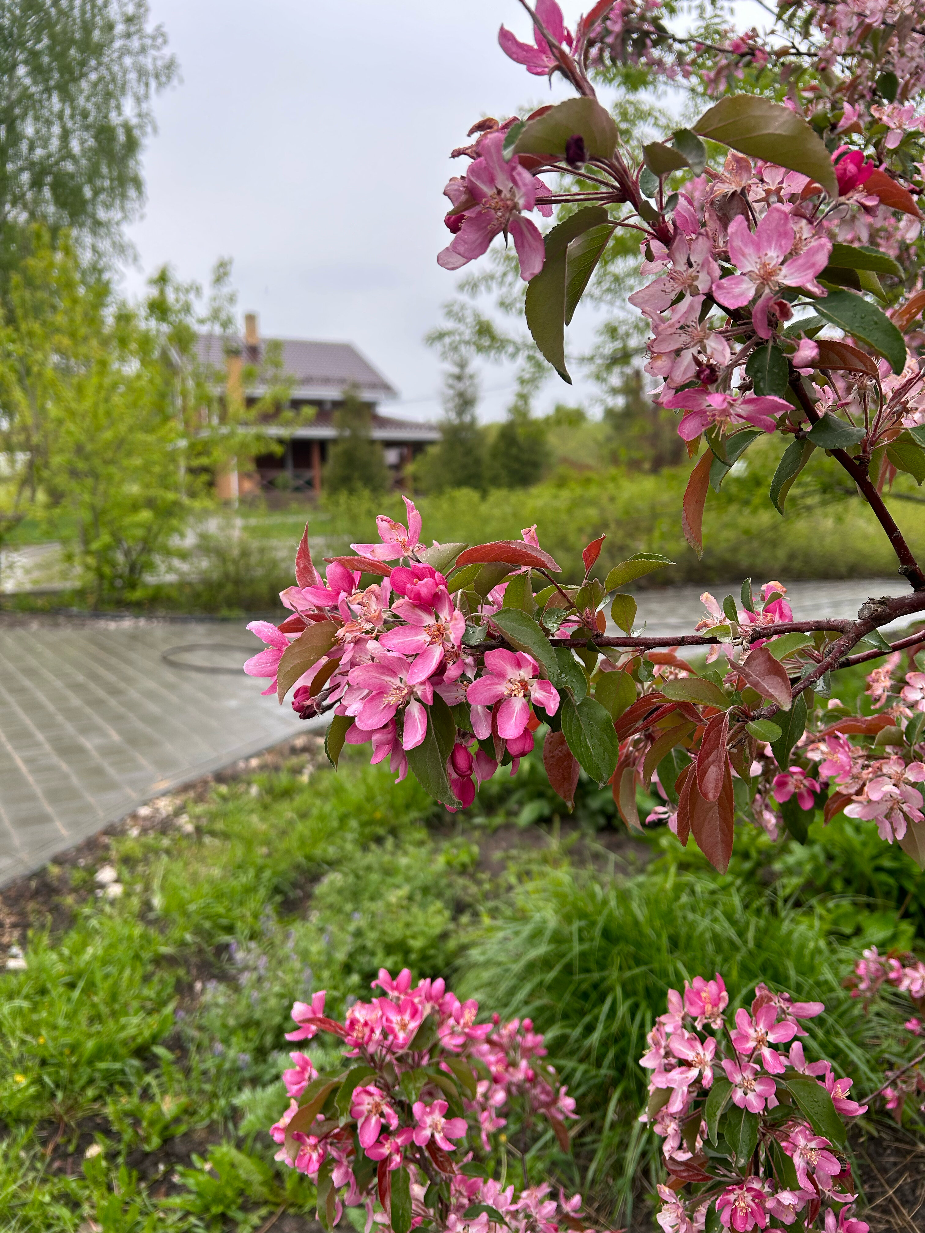 Фото Надежда