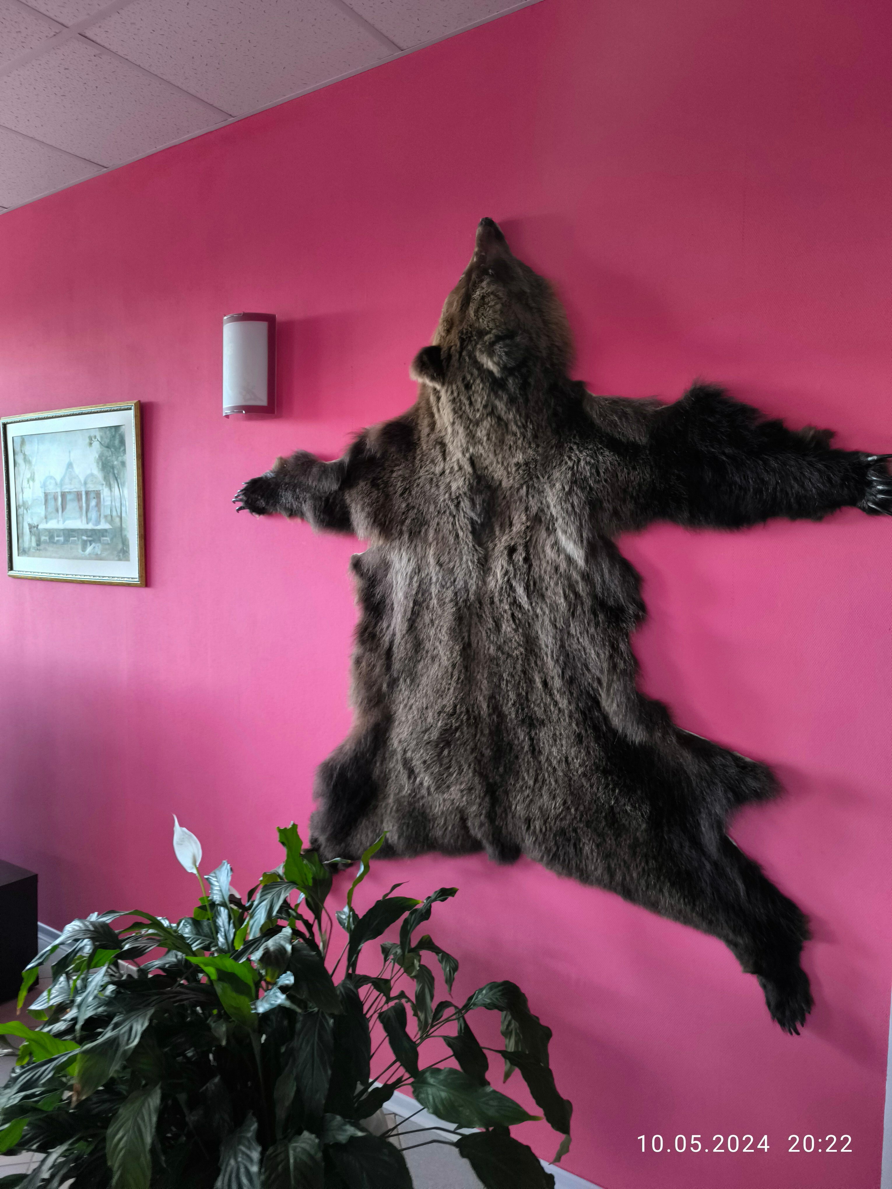 Фото Гостевой дом Ихала