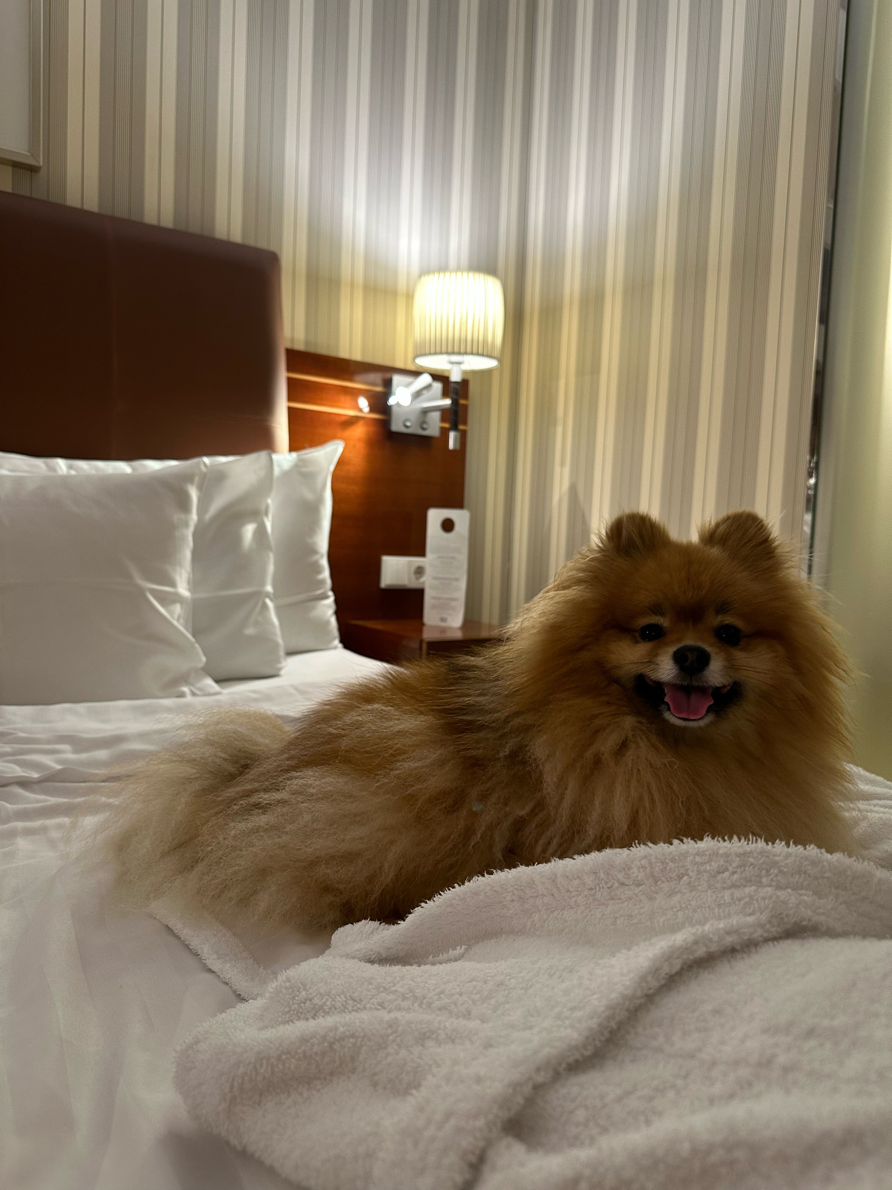 Фото Palace Bridge Hotel