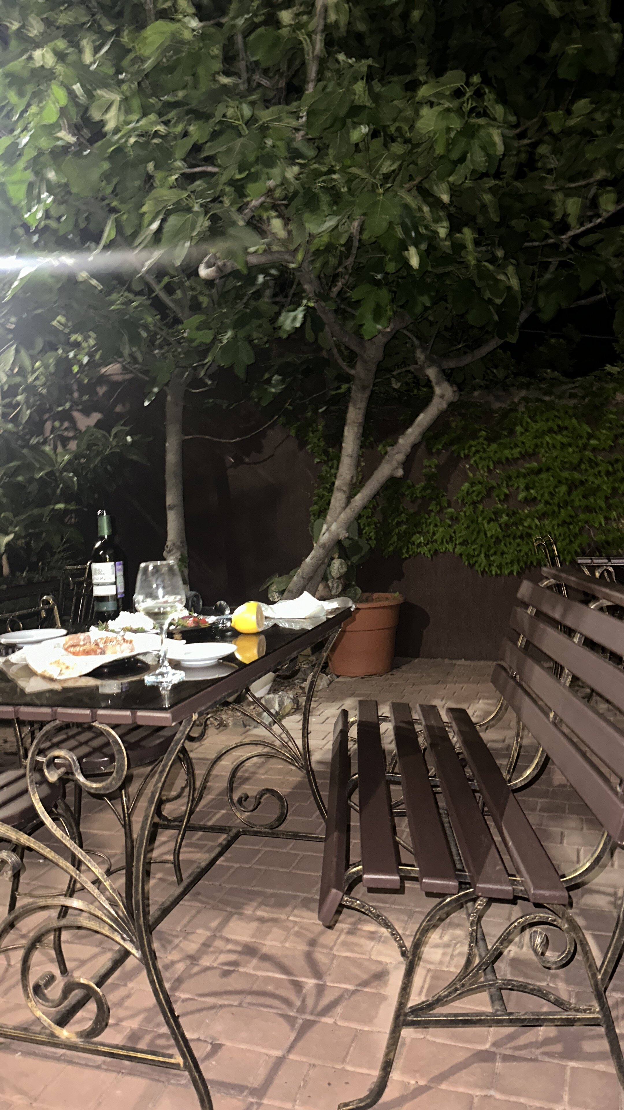 Фото Каштановая Аллея