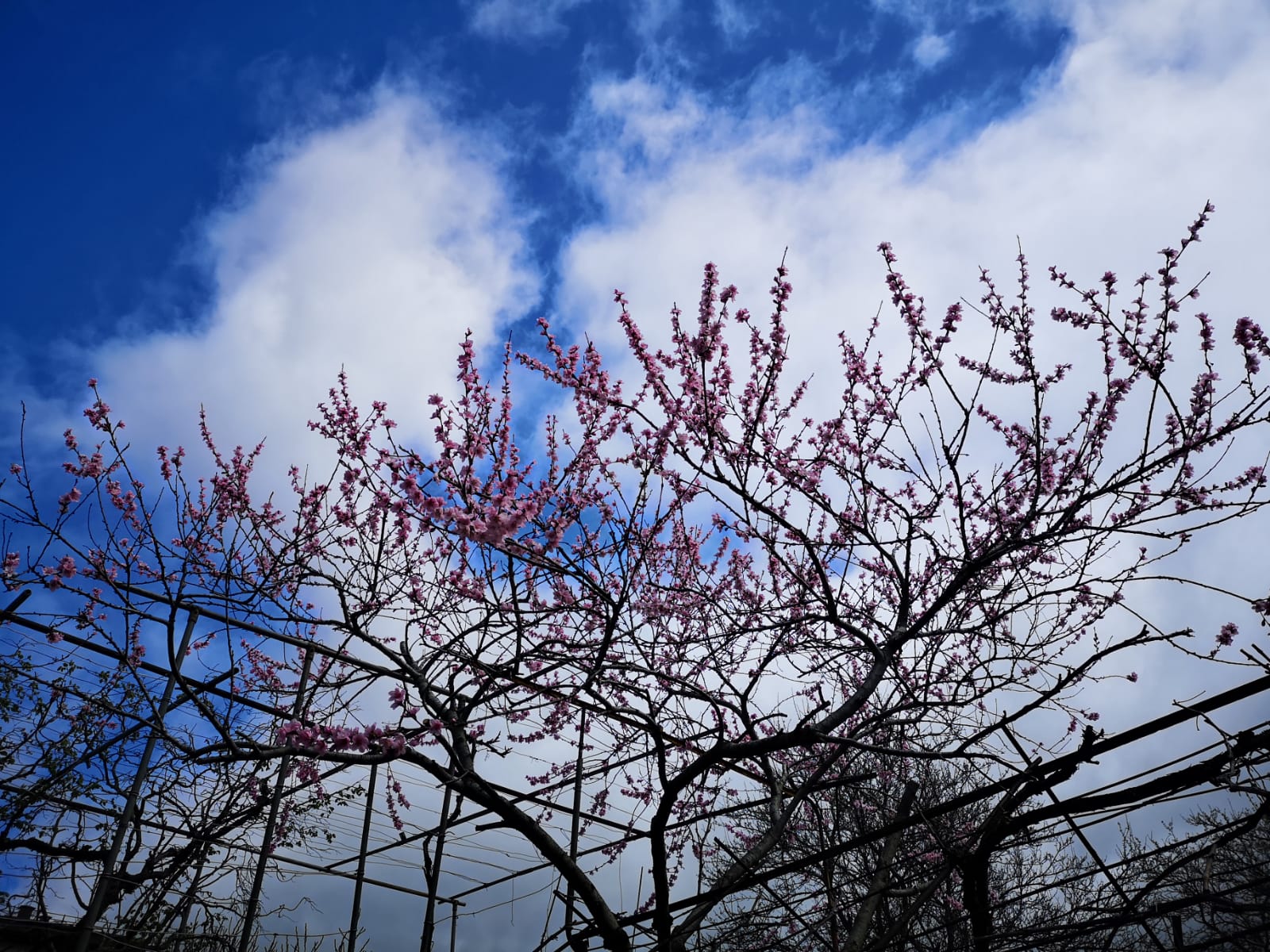 Фото Как дома