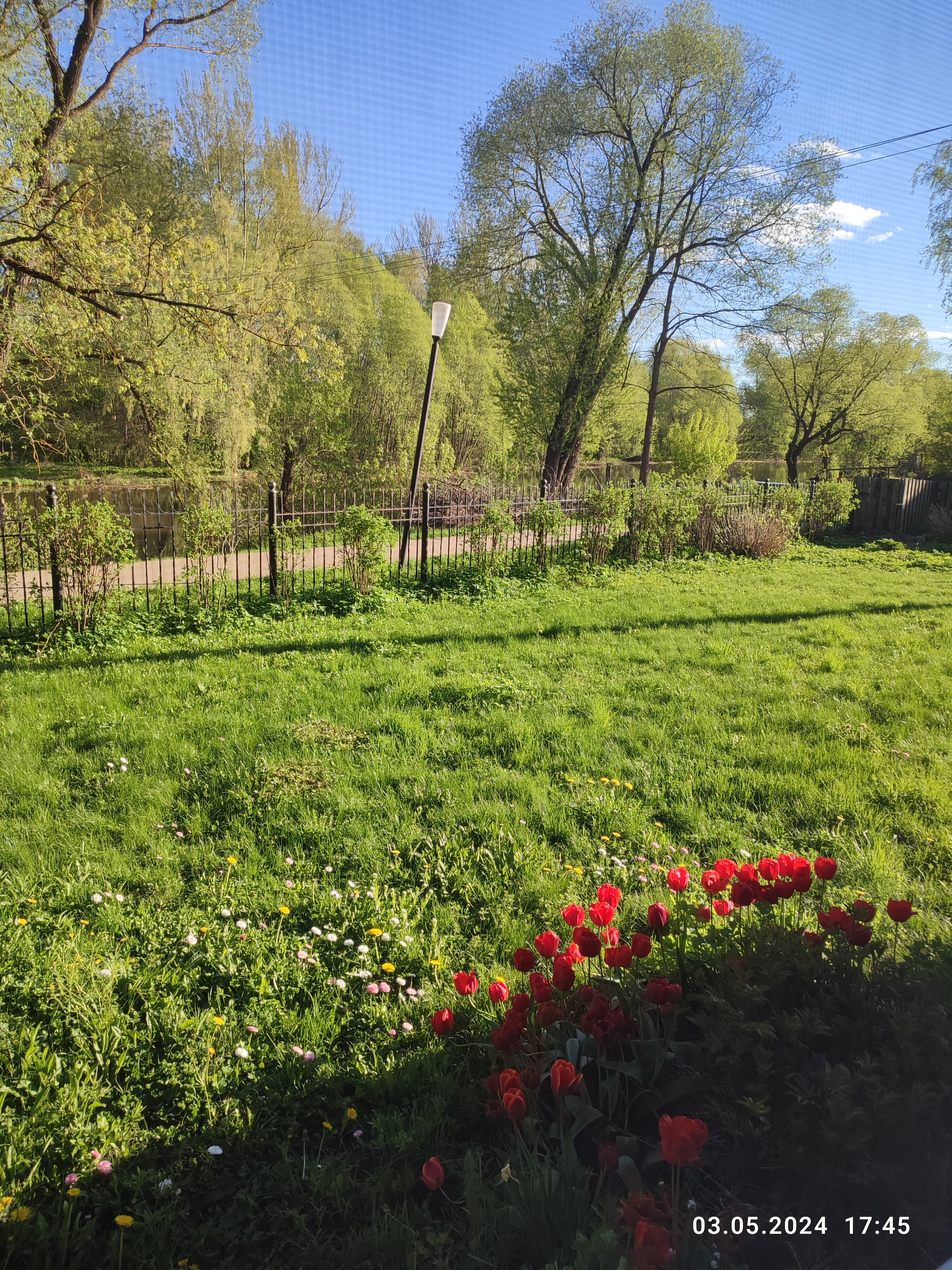 Фото Западная