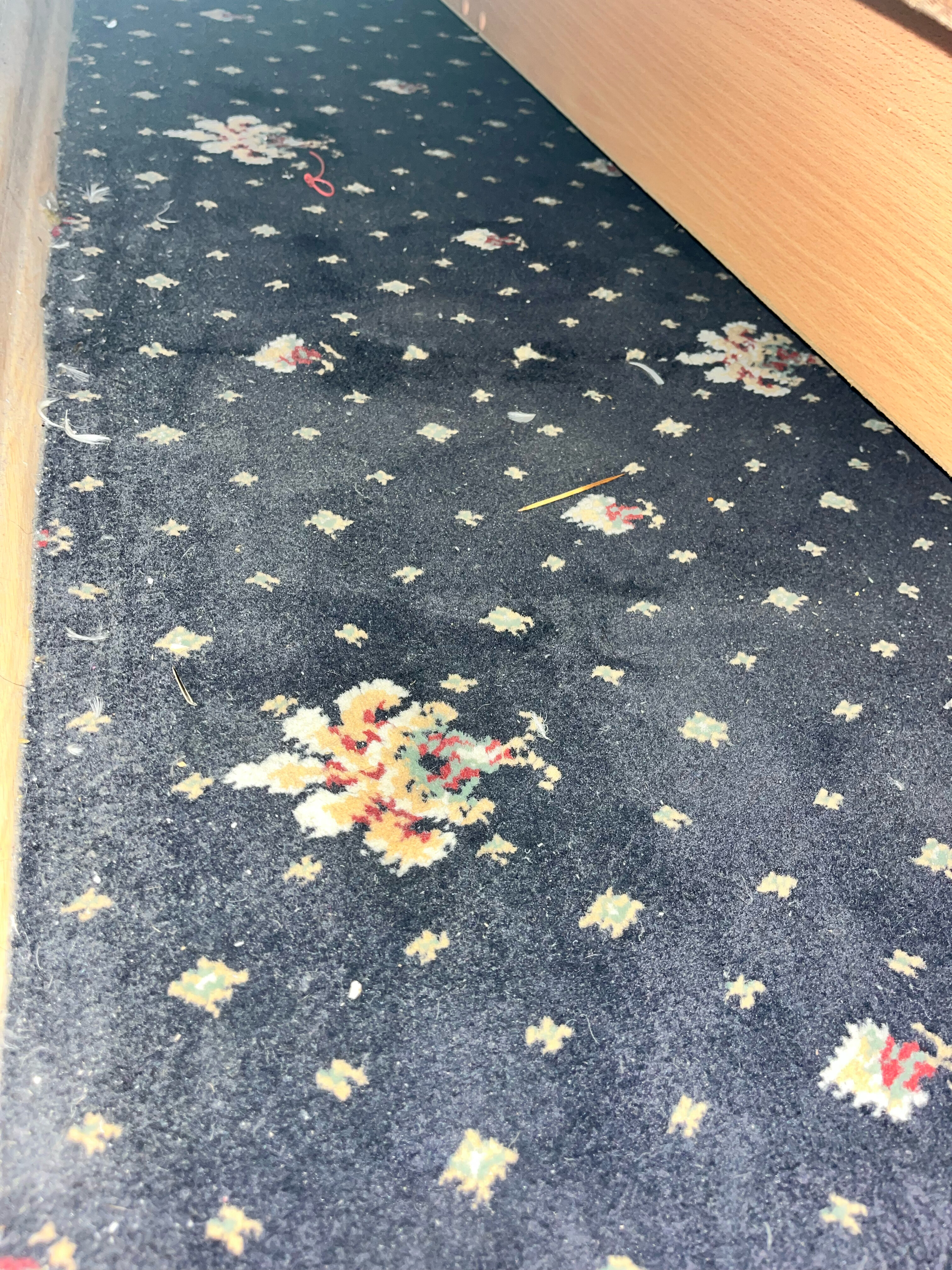 Фото Классик