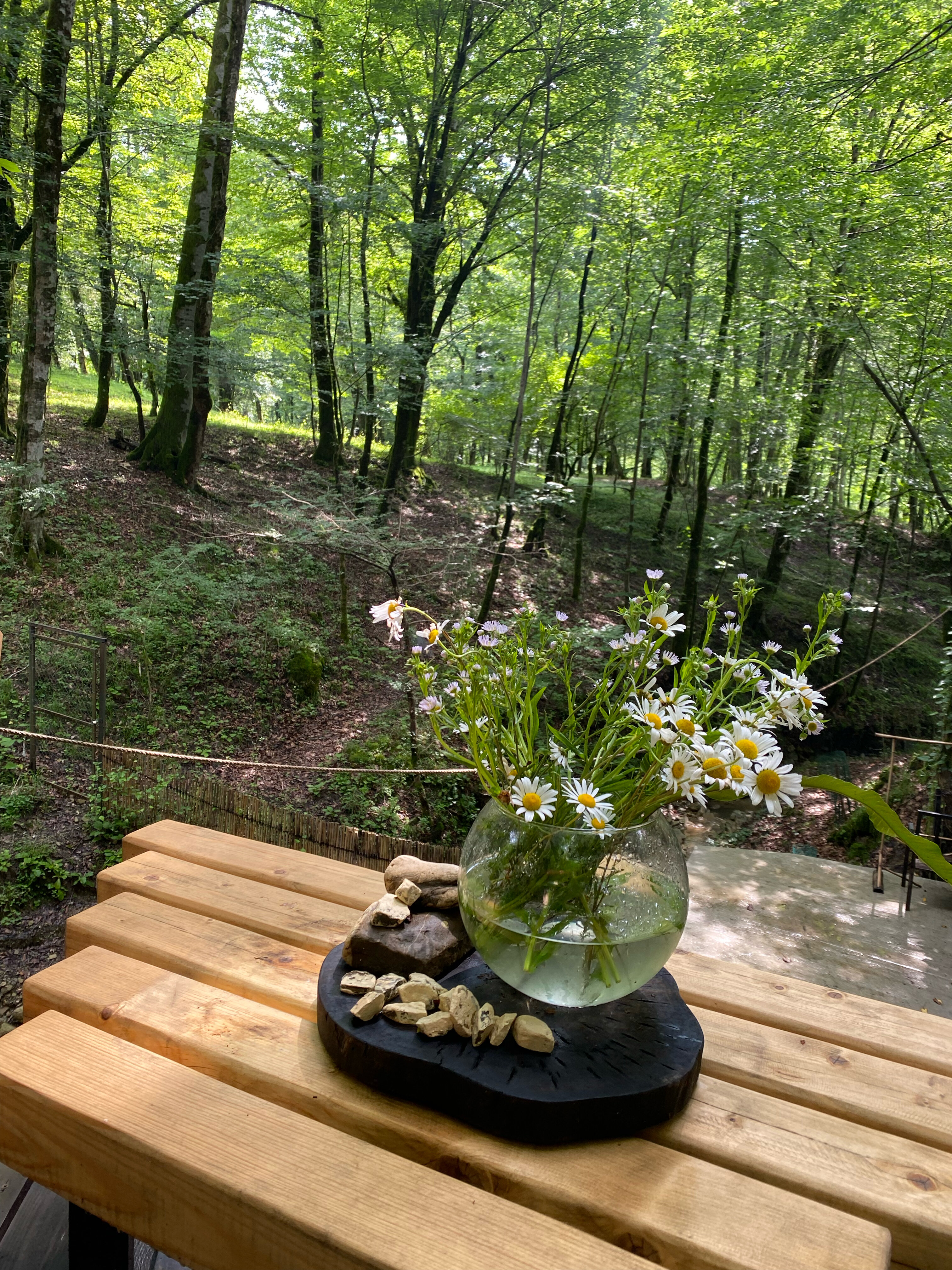 Фото Пермапарк