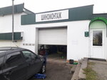 Шиномонтаж (rabochiy posyolok Surskoye, ulitsa Lenina, 117), tire service