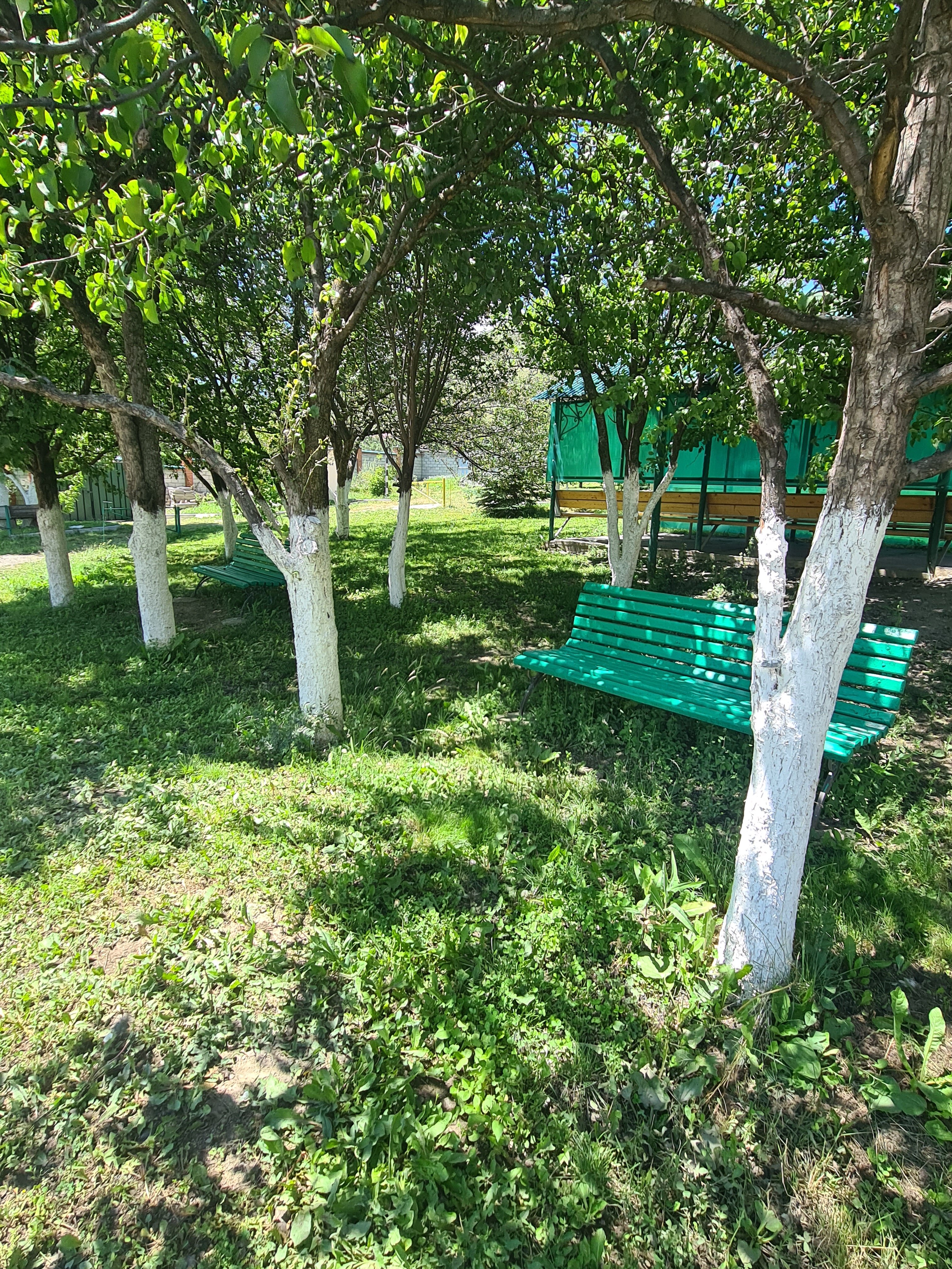 Фото Горный родник