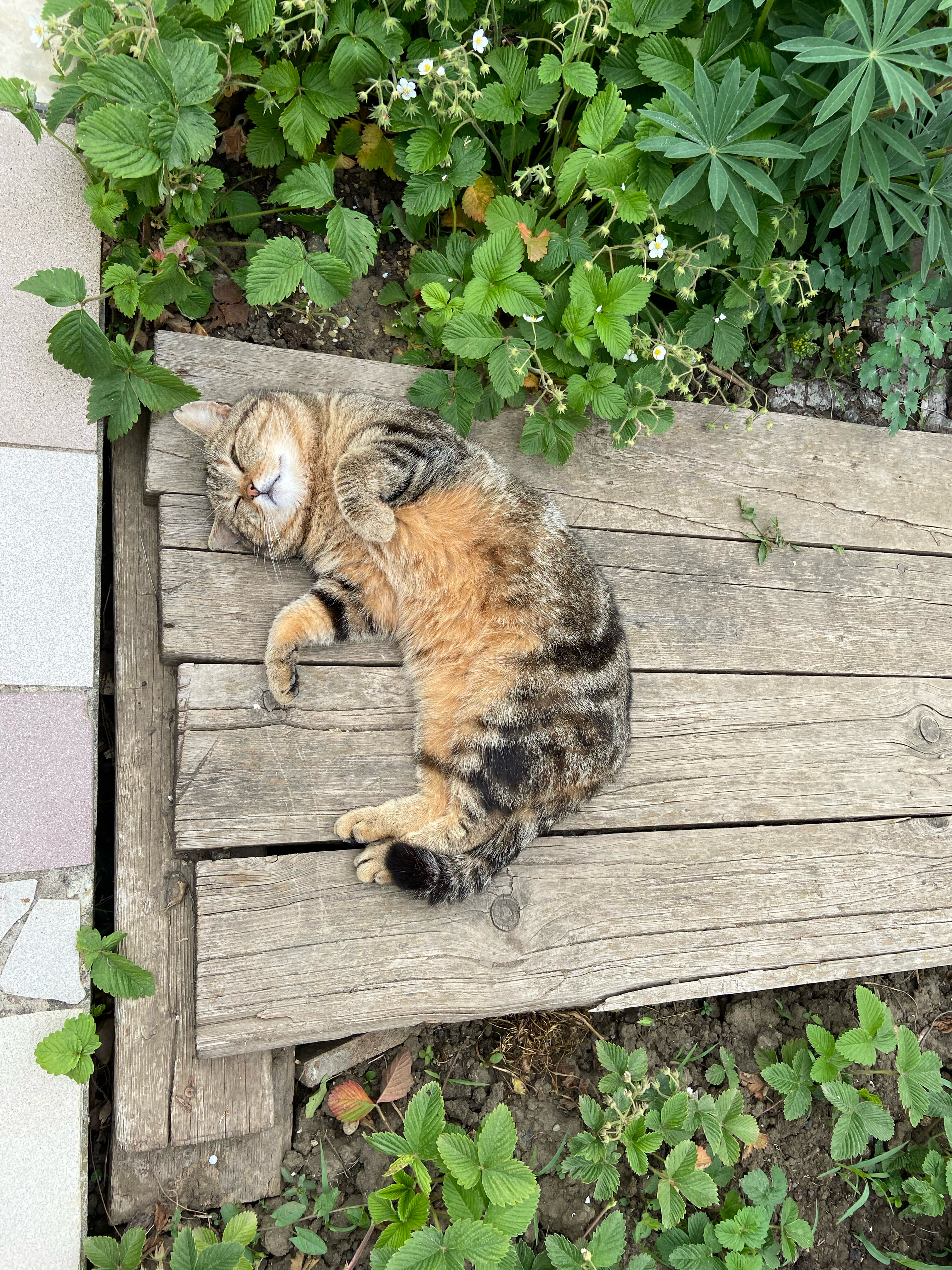 Фото Горный родник