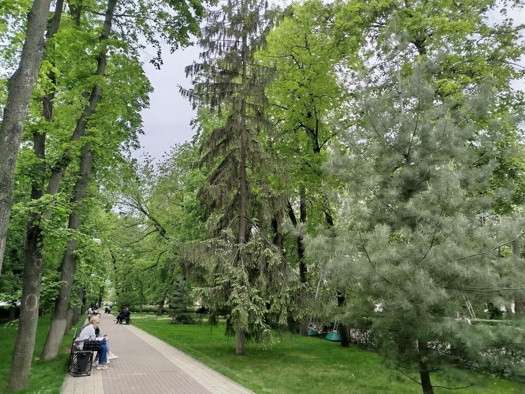 Сквер Кольцовский сквер, Воронеж, фото