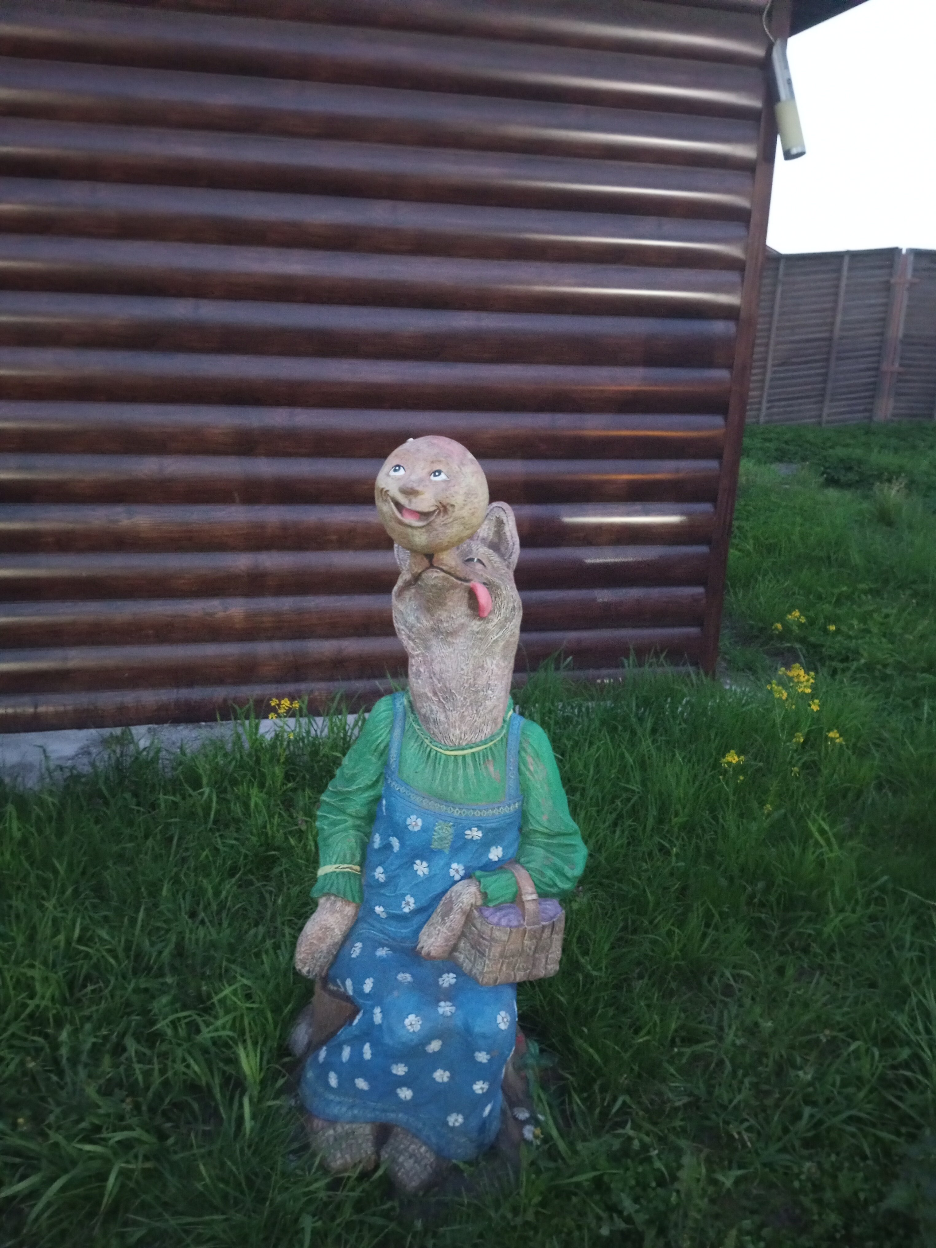 Фото Берёзка