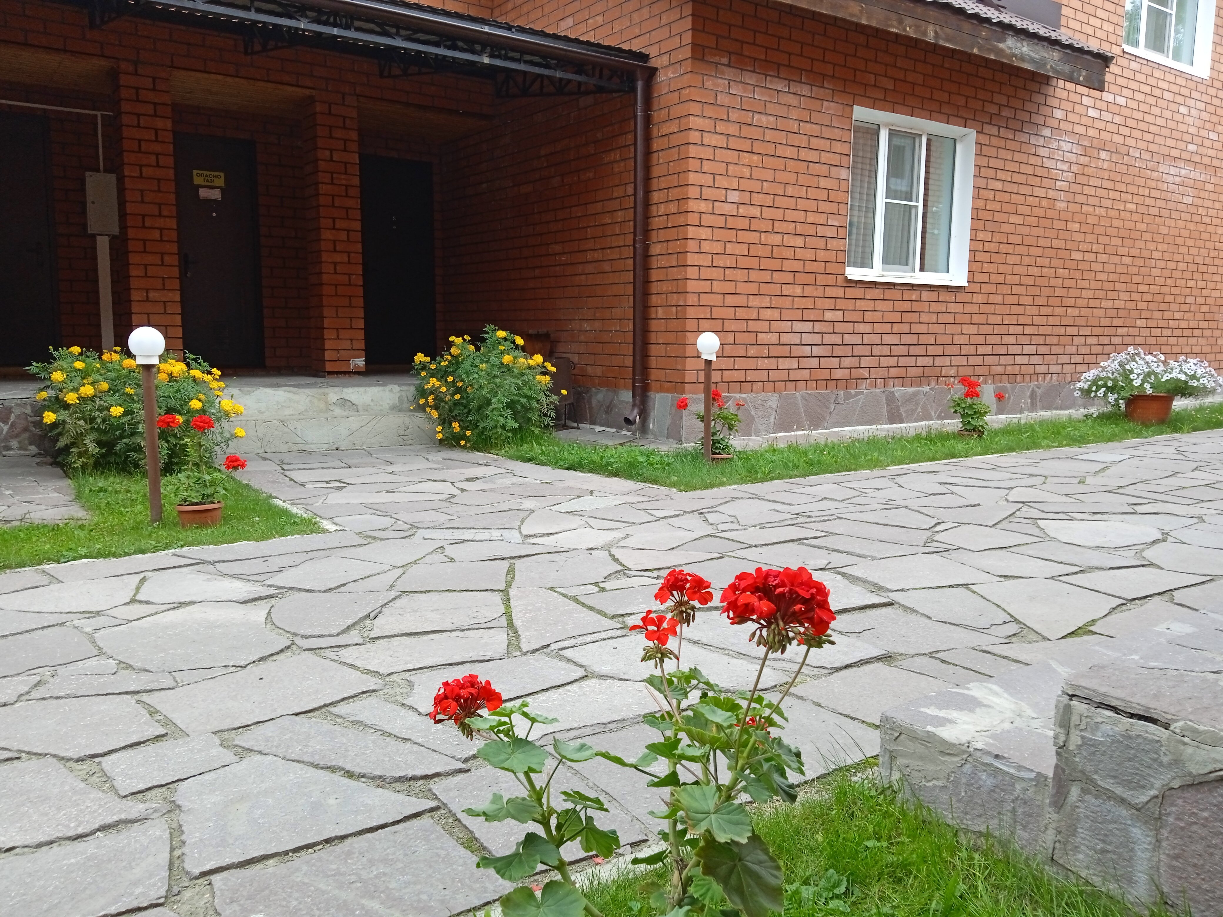 Фото Дарина