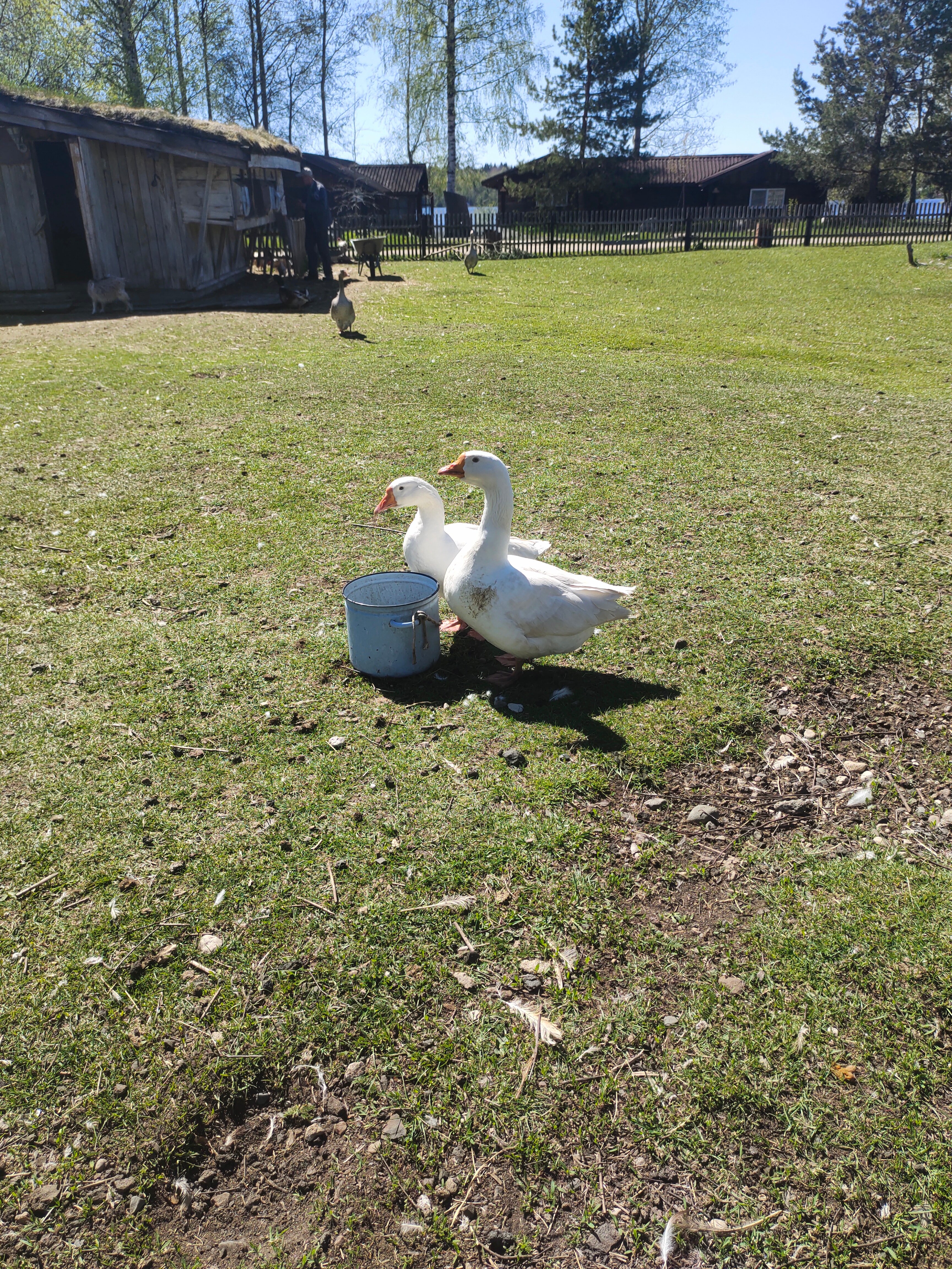 Фото Экотель