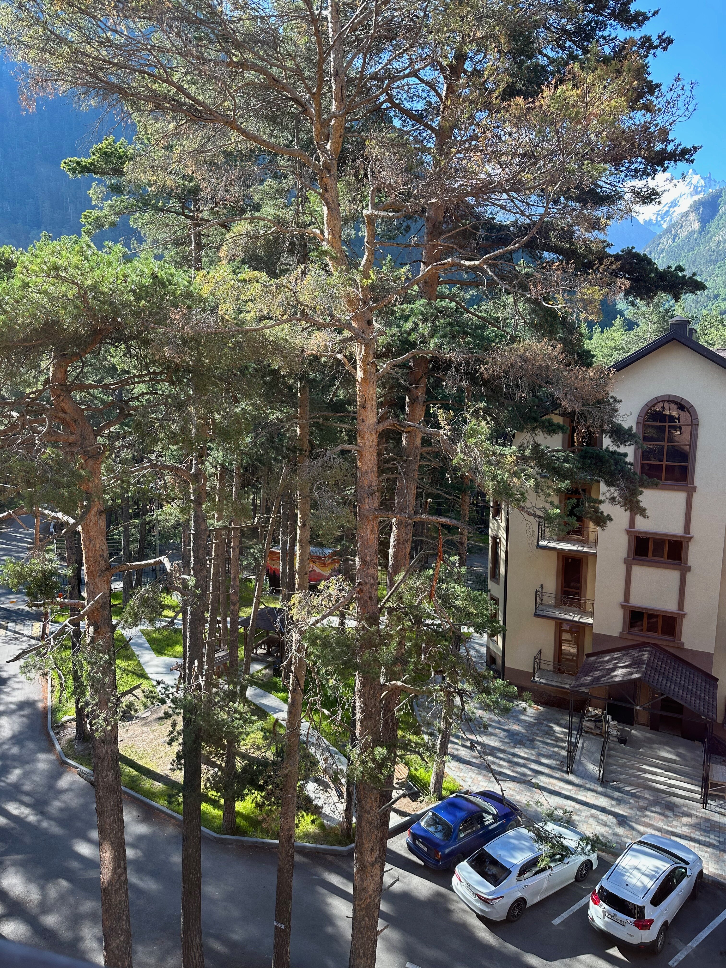 Фото Горная сказка