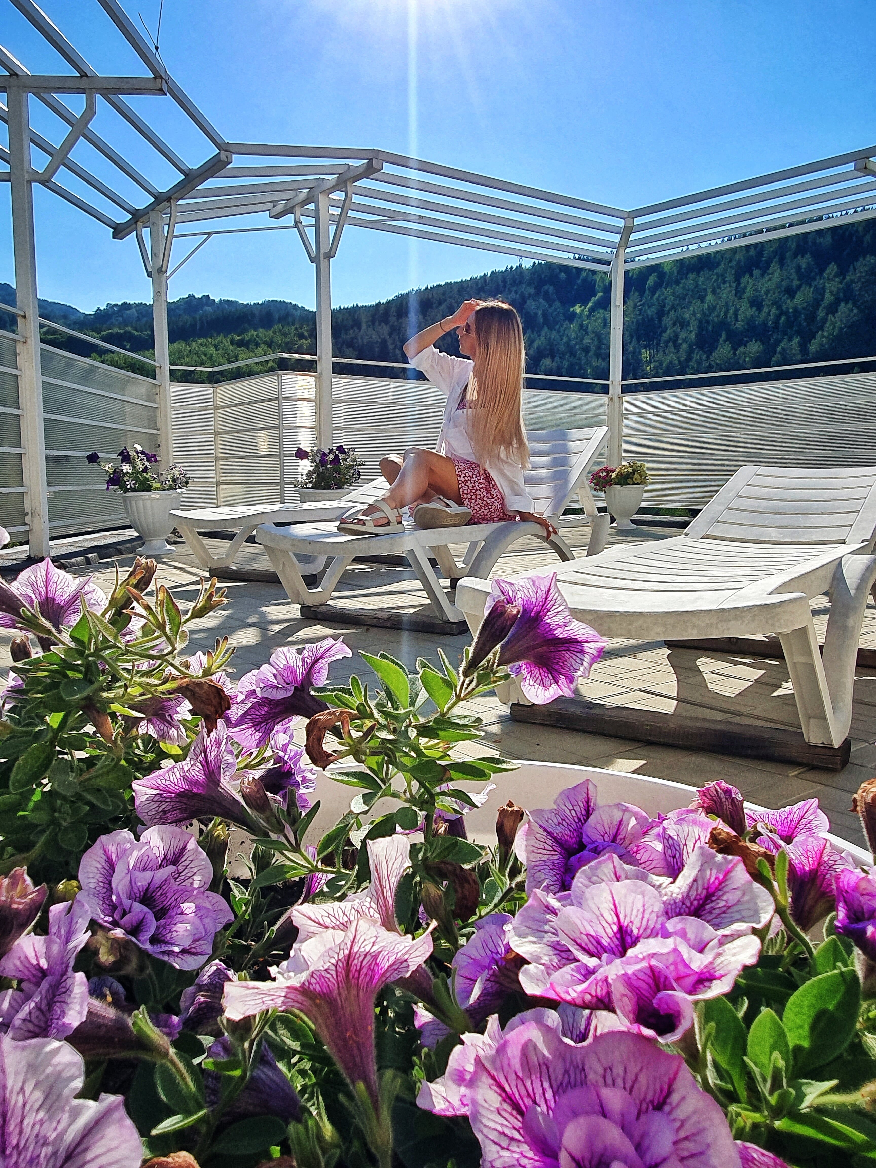 Фото Аврора