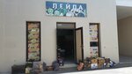 Leila (Mańǵystaý oblysy, Aktau, Qanysh Sátpaev dańǵyly), greengrocery