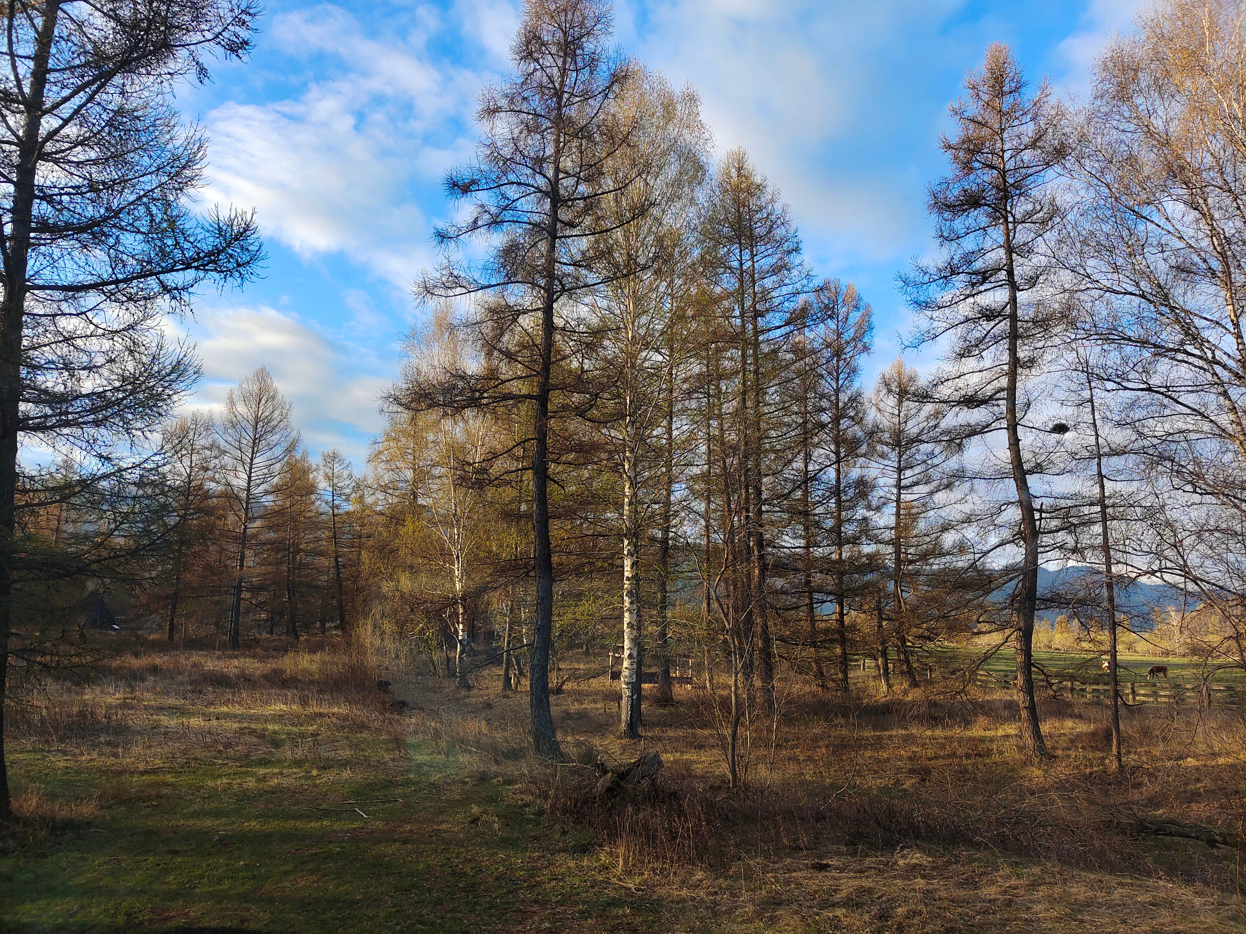 Фото УЧ Энмек