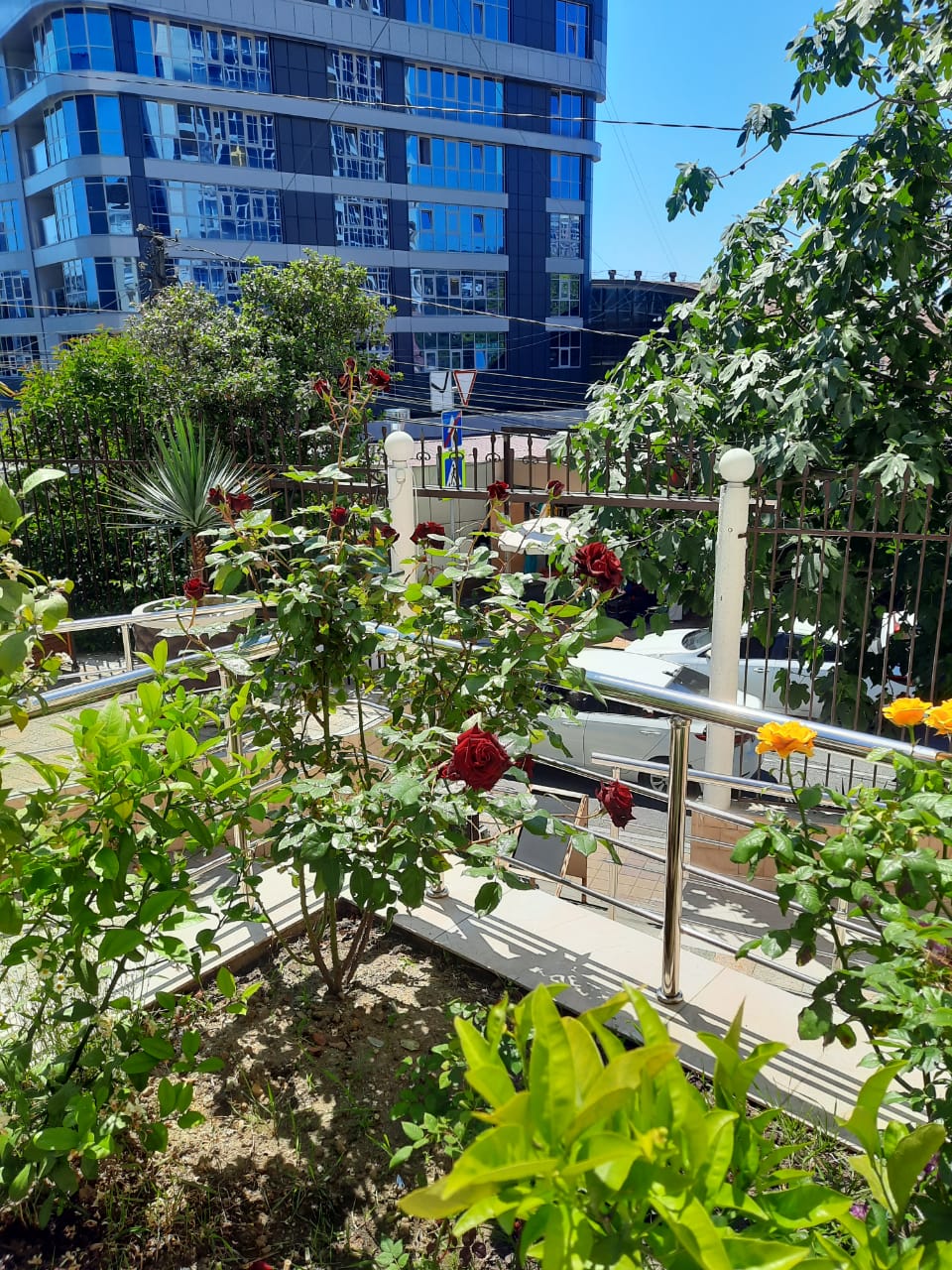 Фото АрМара