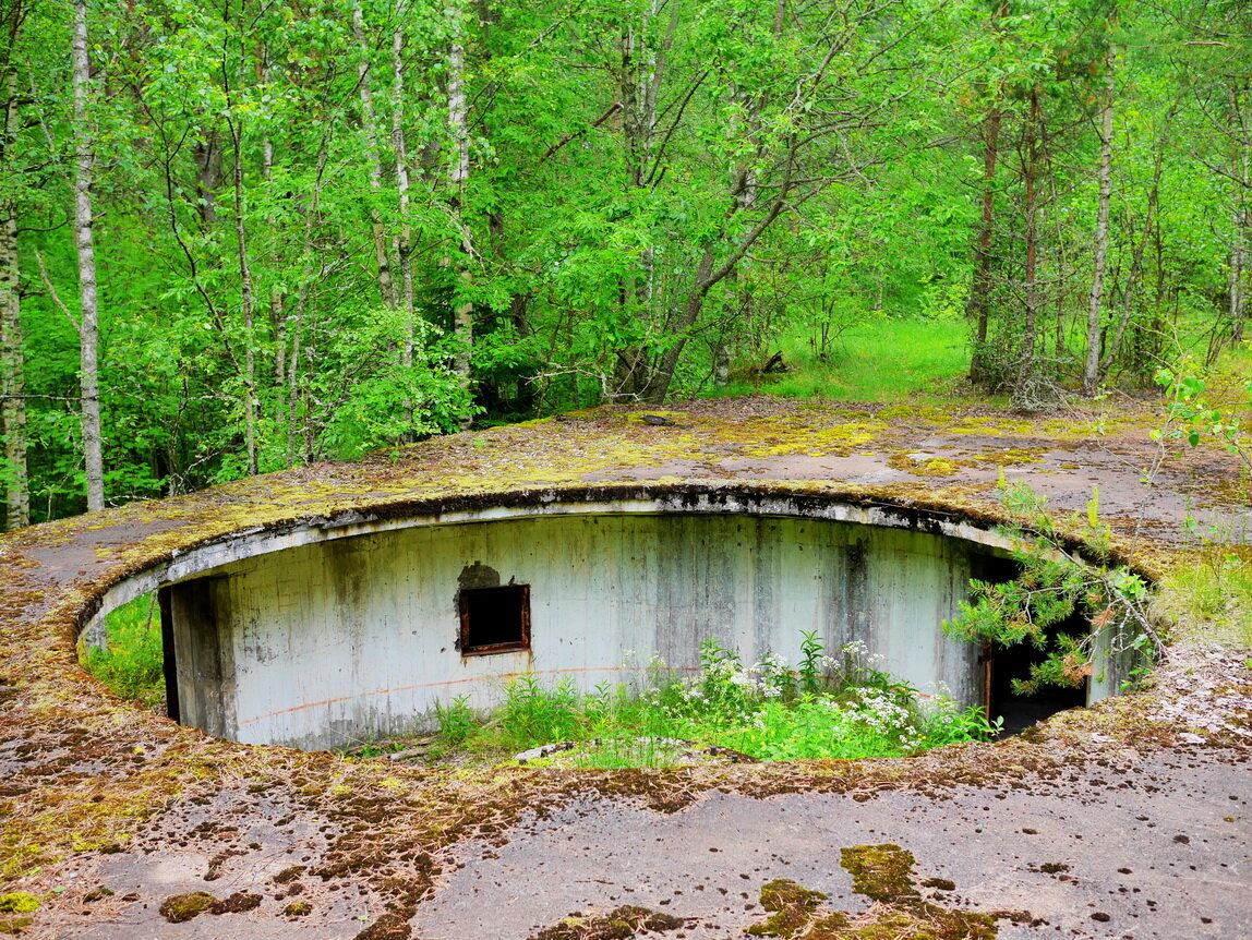 Фото Домик Коиви