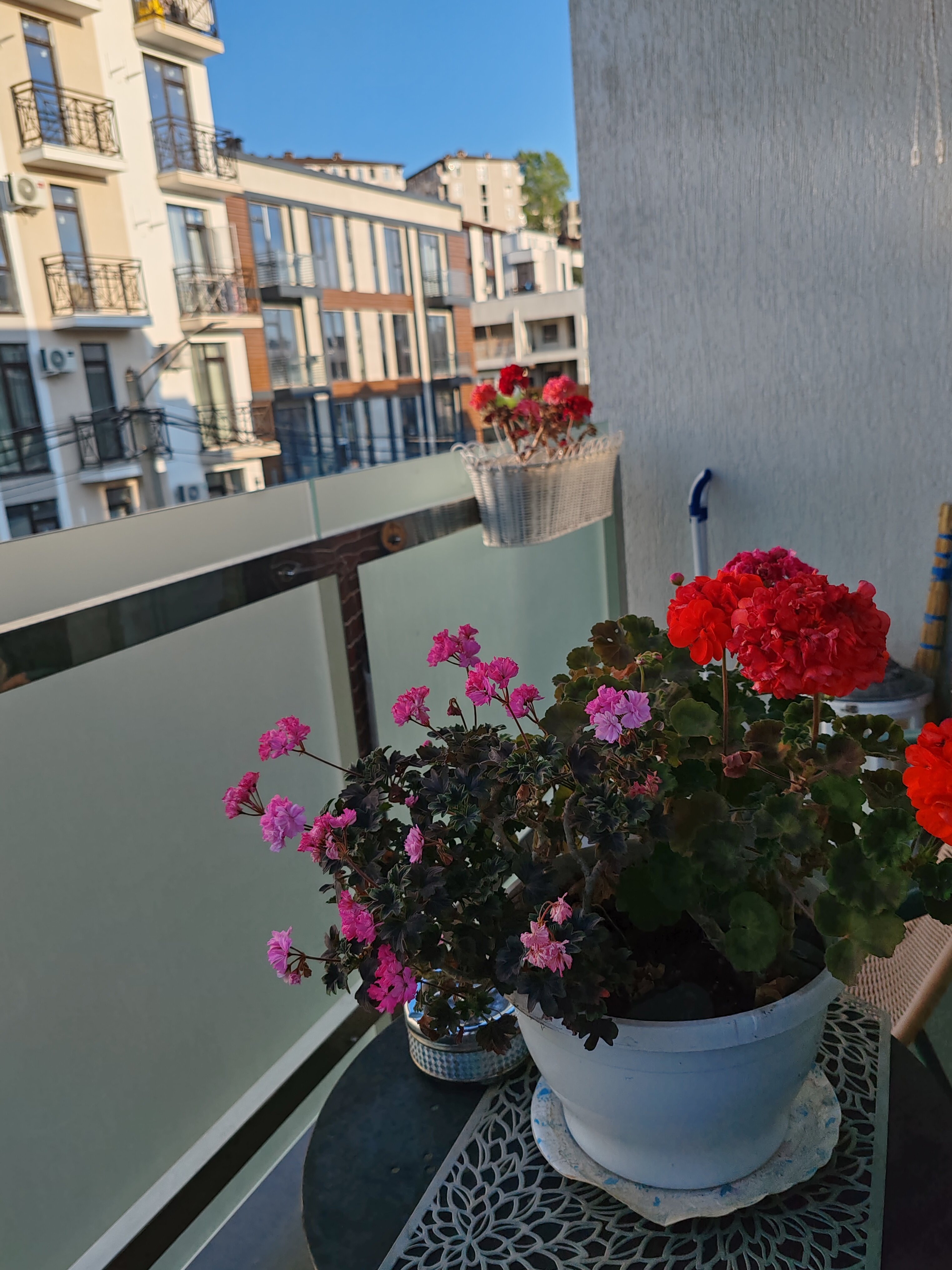 Фото SochiHome Green Palace