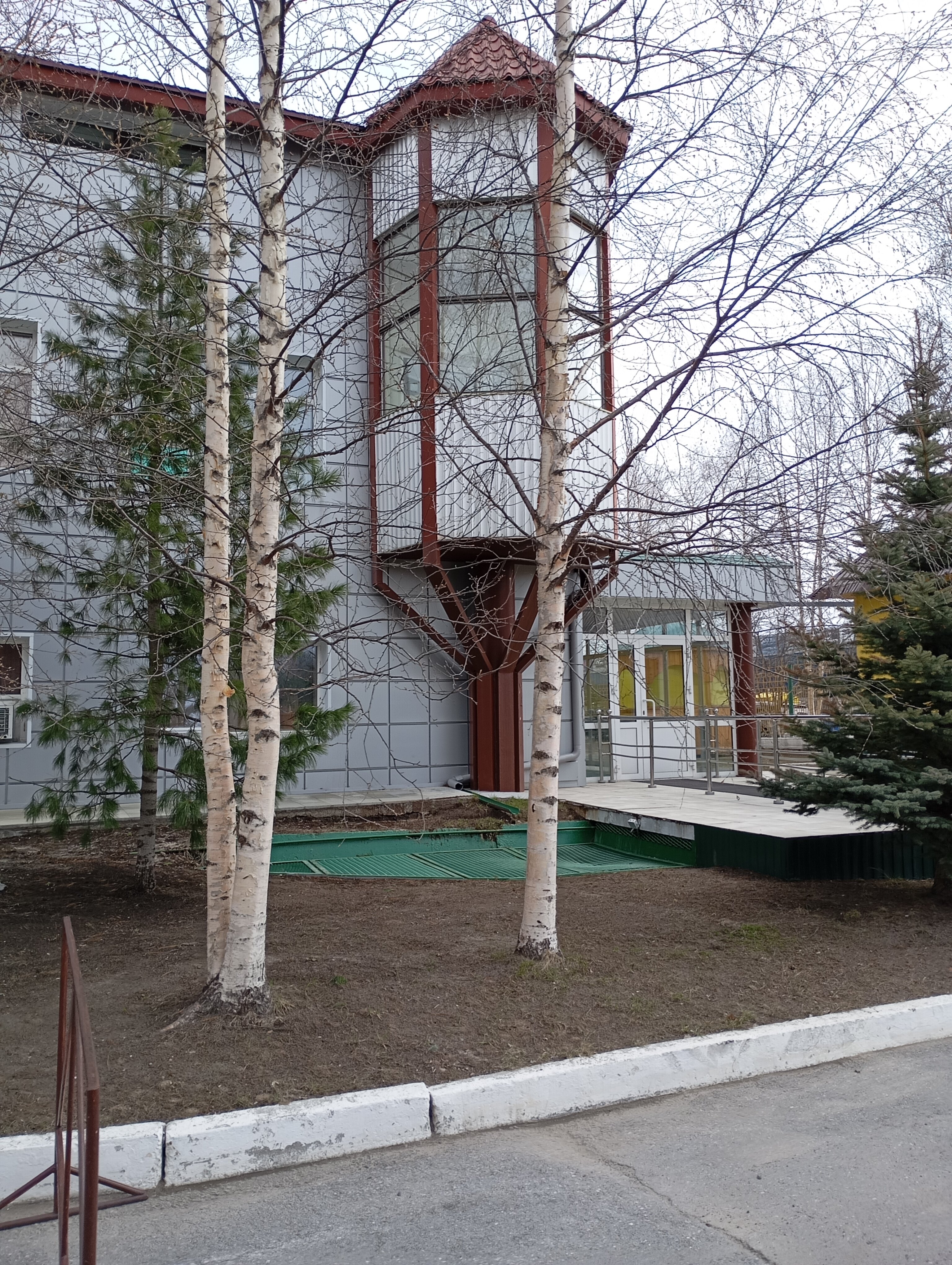 Фото Березка