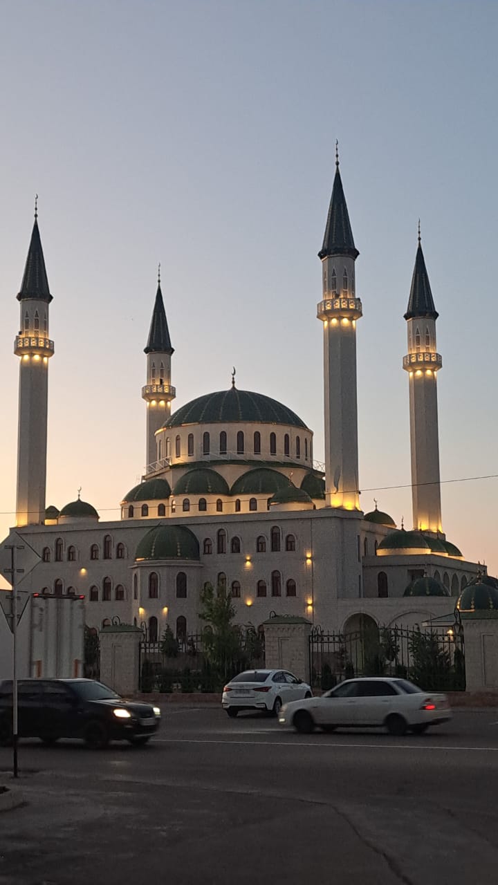 Фото Эдельвейс