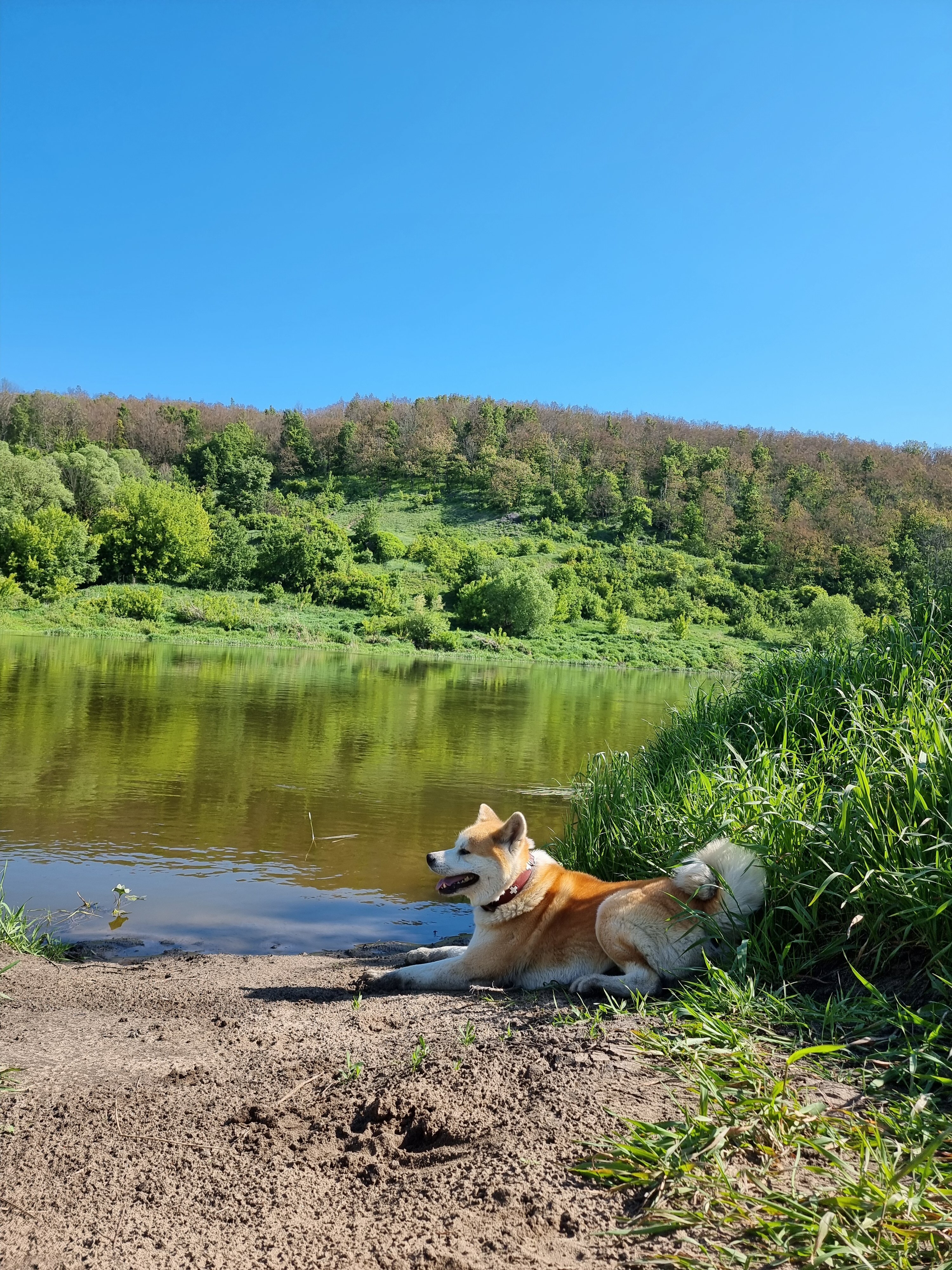 Фото Атамань-на-Дону