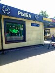 Ryba (Anadyrsky Drive, вл14Бс1), fish and seafood