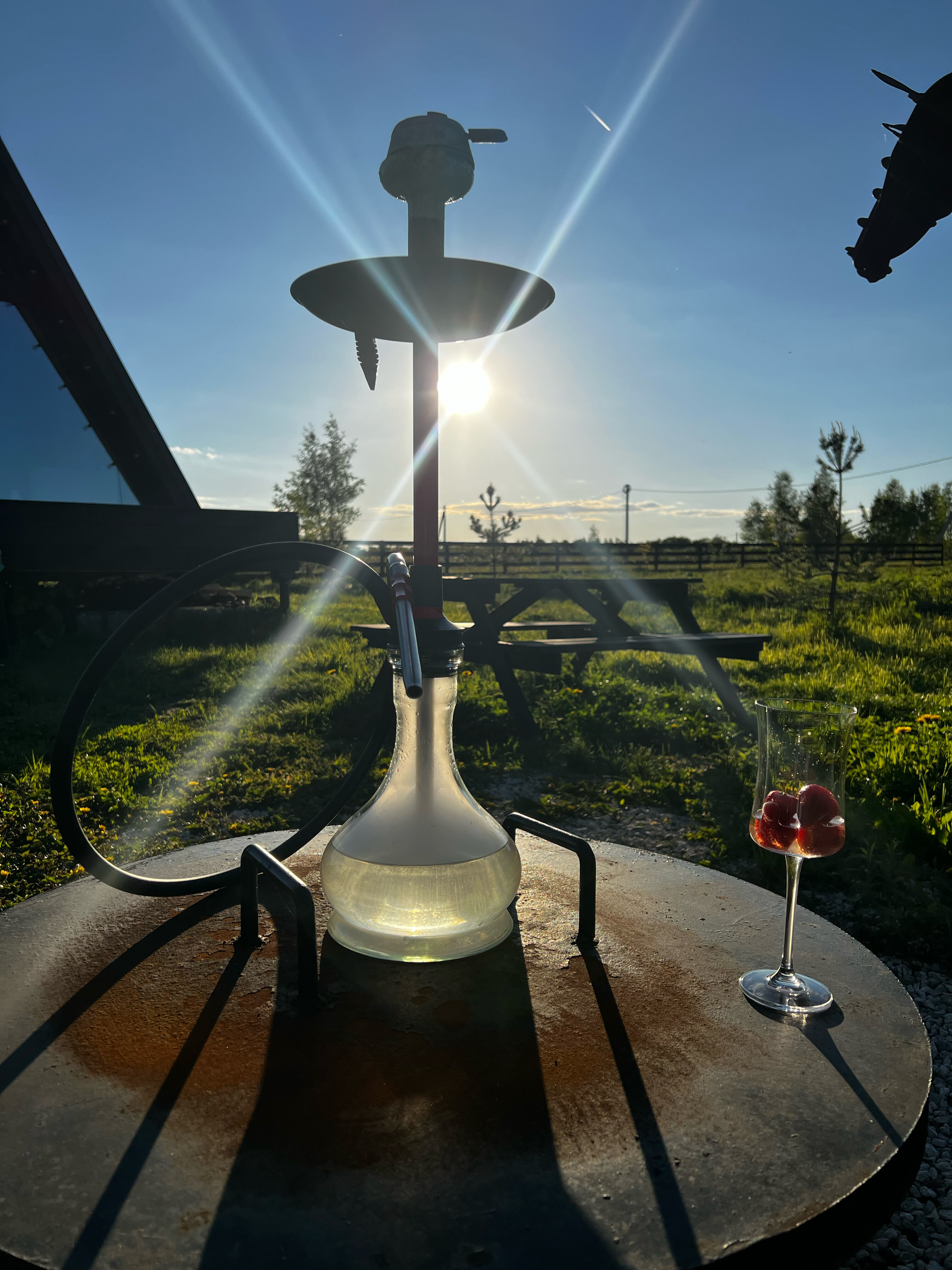 Фото Лес и небо