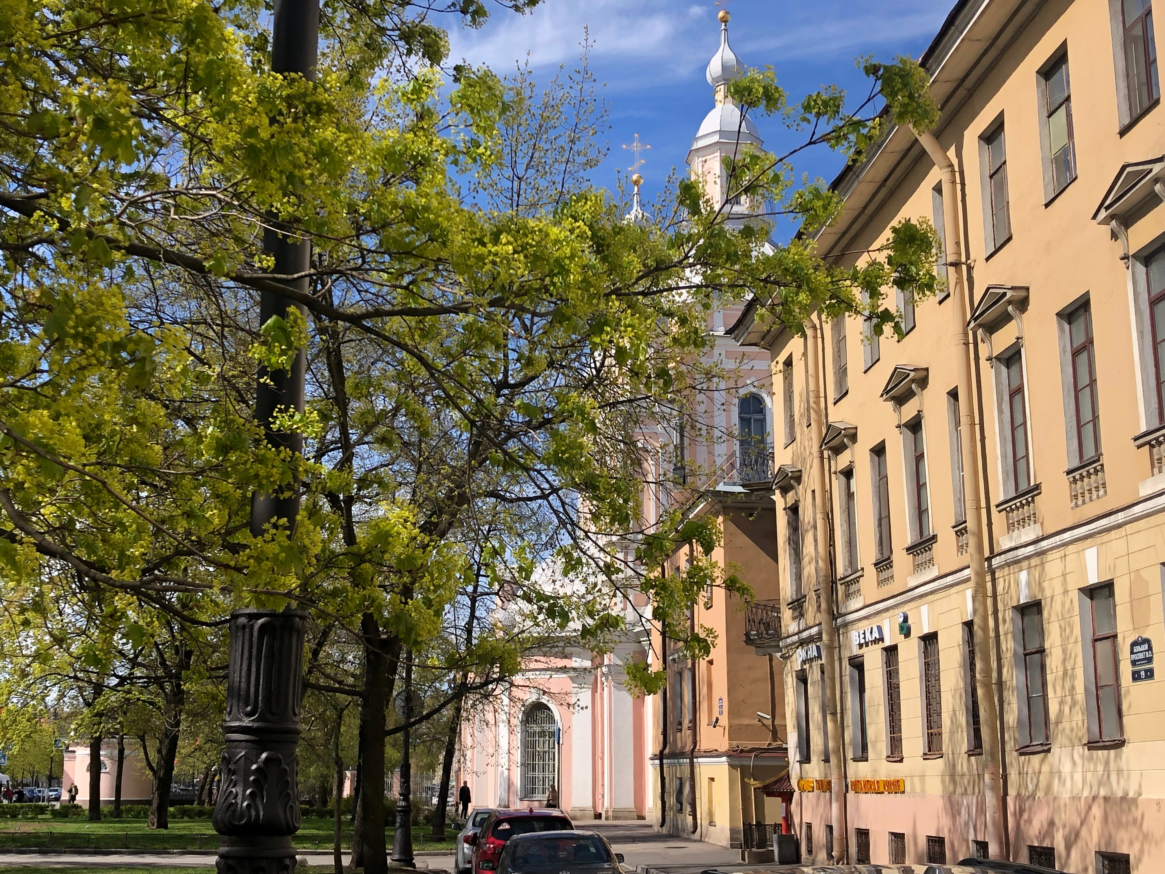 Фото Трезини Арт Отель