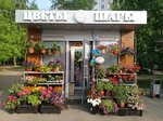 Tylpan (Moscow Region, Odintsovo, Soyuznaya ulitsa), flower shop