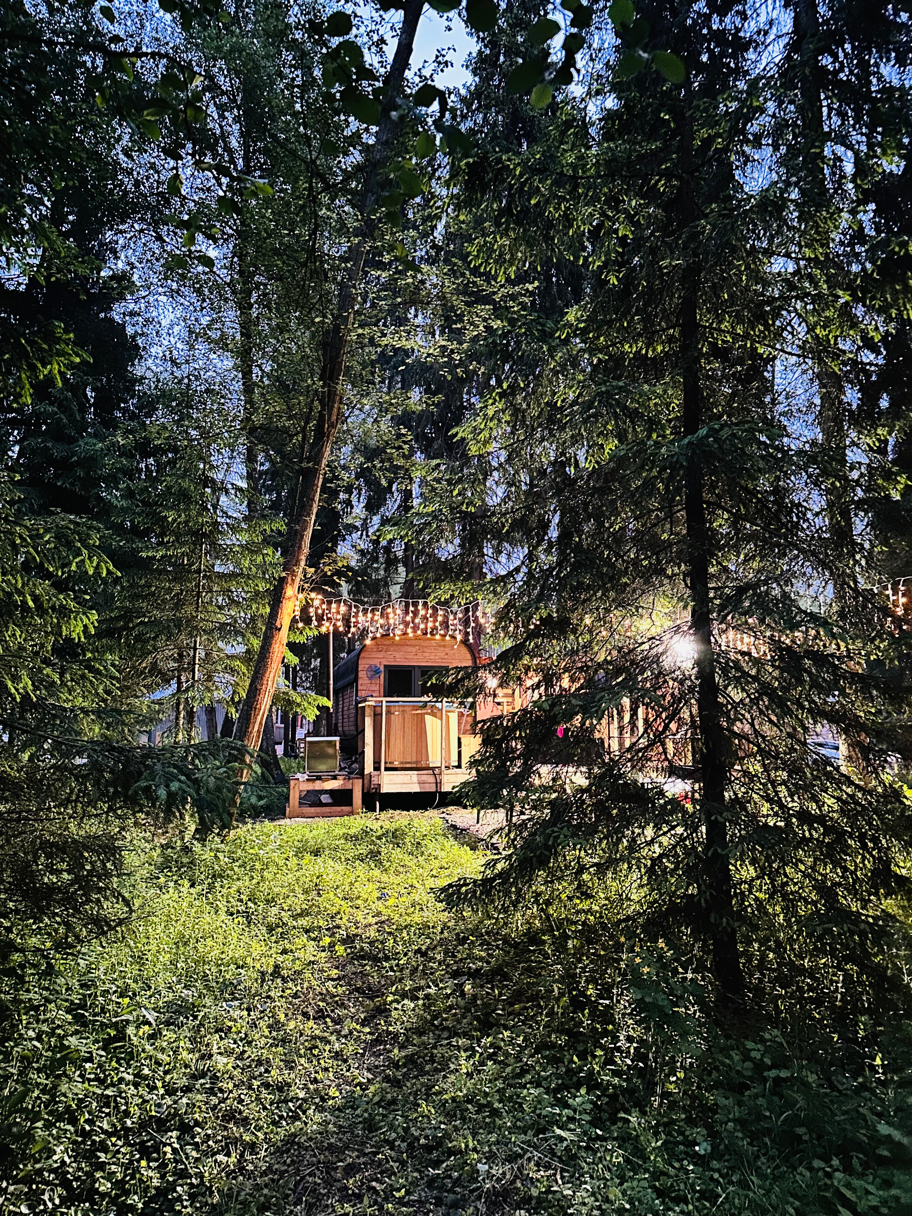 Фото Лесная тропа