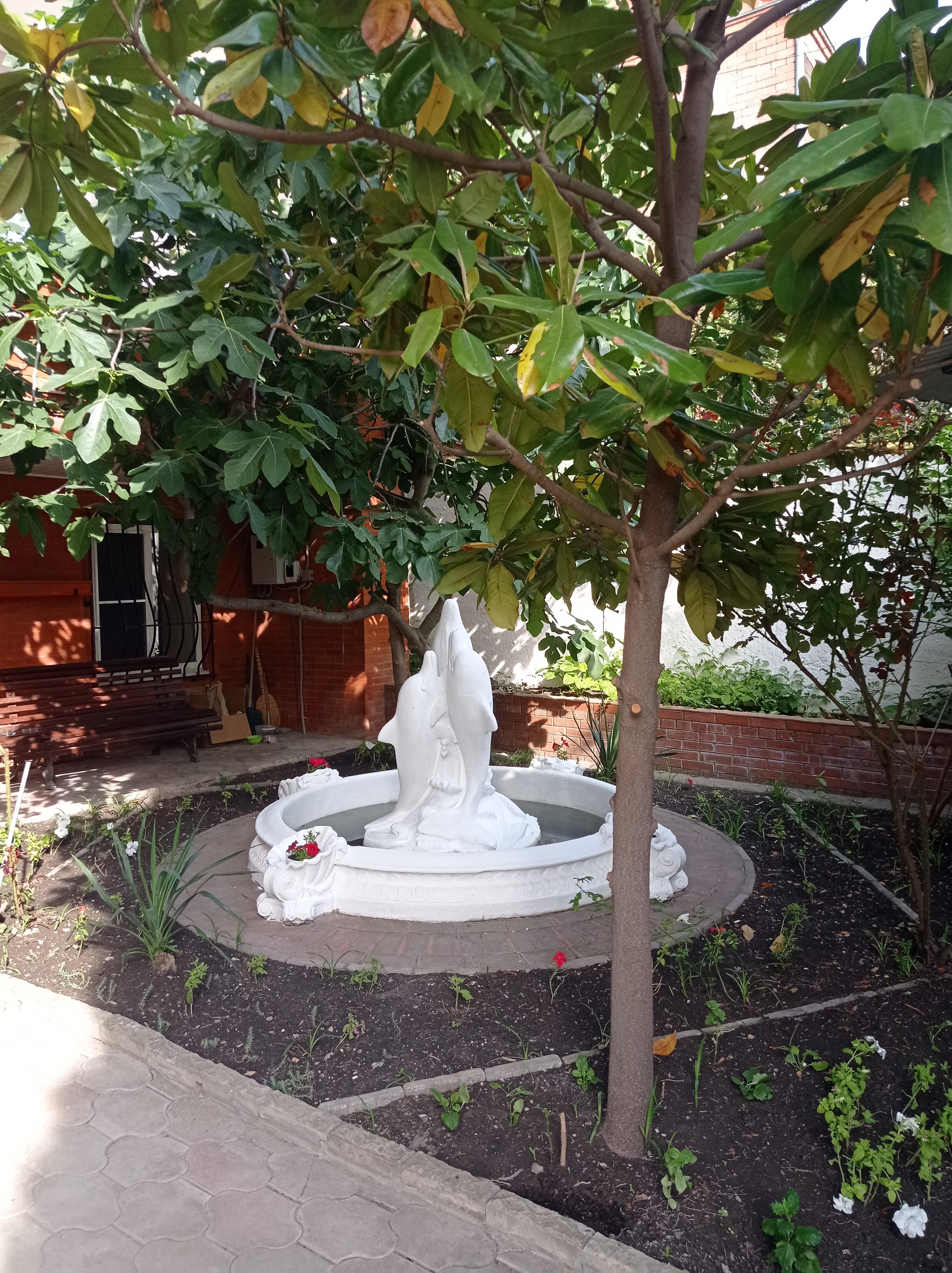 Фото Жемчужина 23