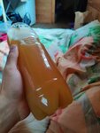 Пивной карлик (bulvar Trudyashchikhsya, 2), cervecería