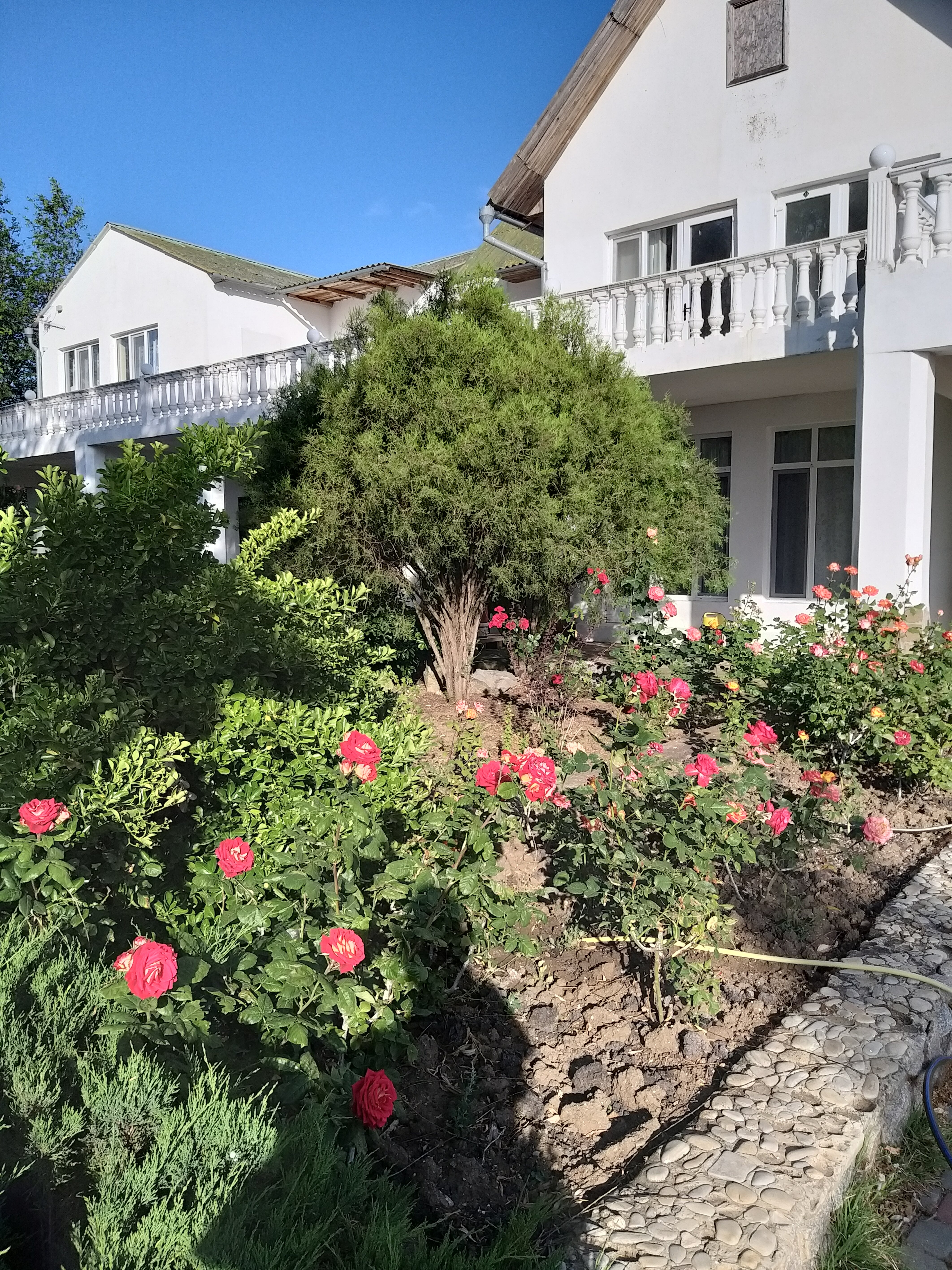 Фото Казантип