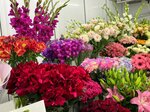 Bambini Flowers (ulitsa Podvoyskogo, 119/2) ، محل زهور