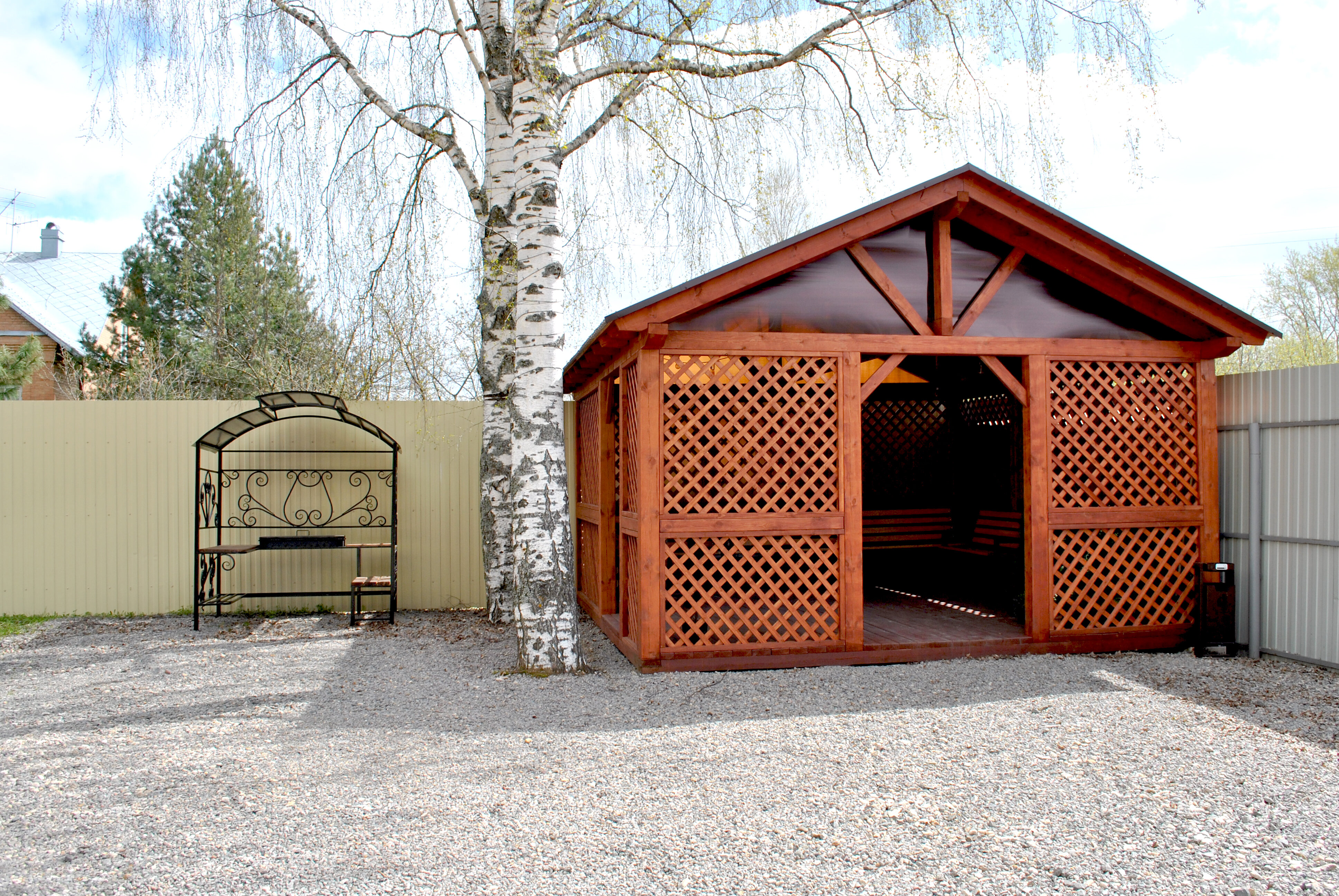 Фото Две берёзки