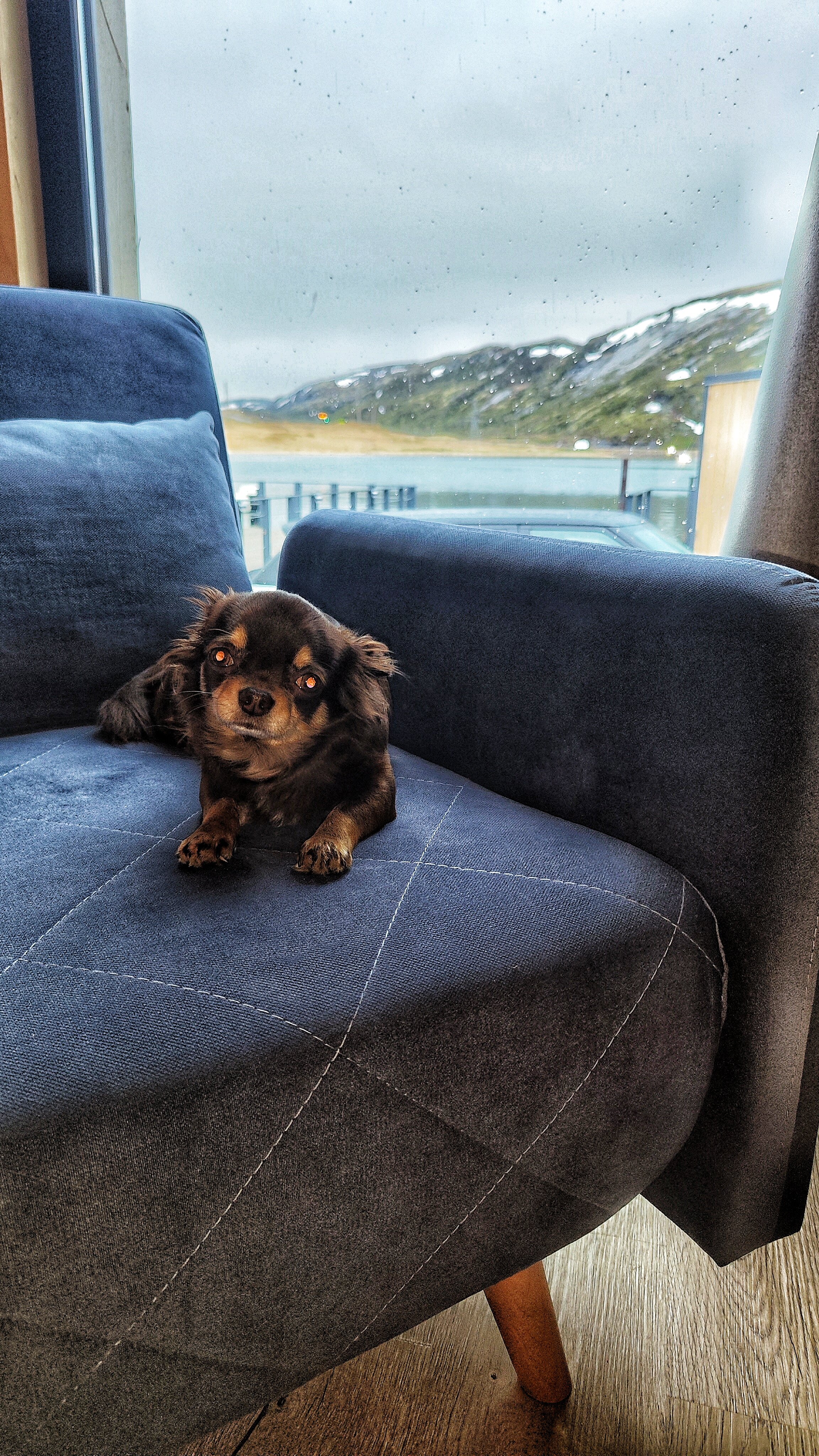 Фото Финвал