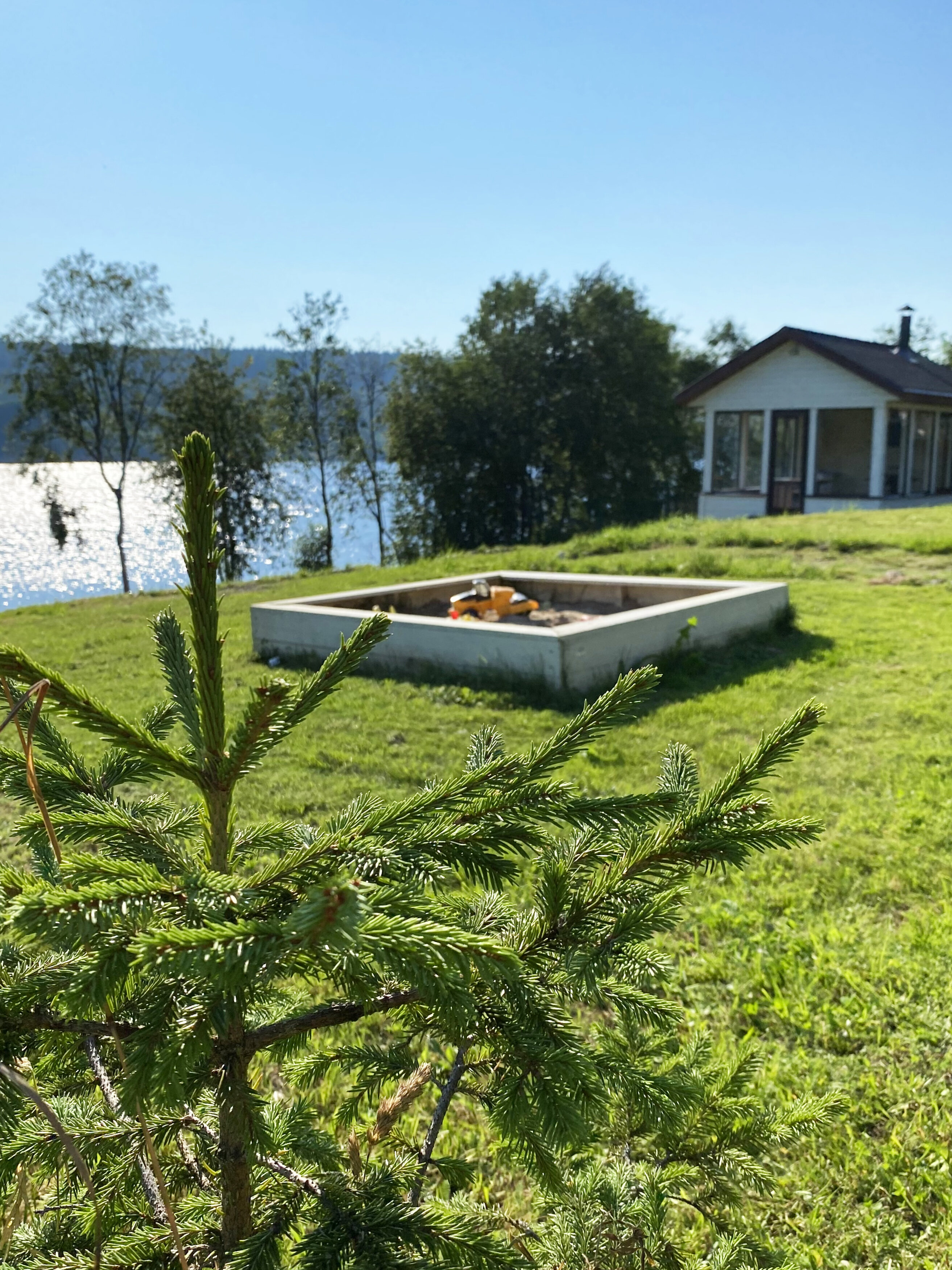 Фото Ялхаус