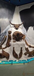 Краеведческий музей, центр исторической информации (rabochiy posyolok Suzun, ulitsa Ostrovskogo, 2), museo