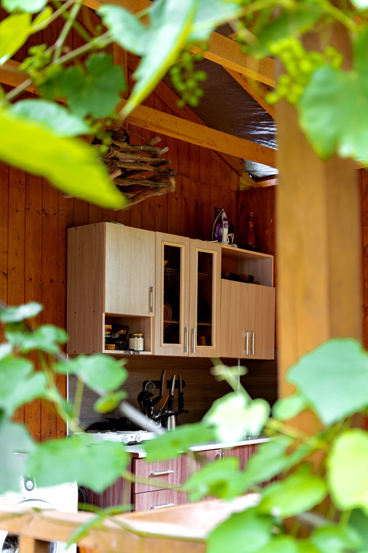 Фото Гостевой дом Кипарис