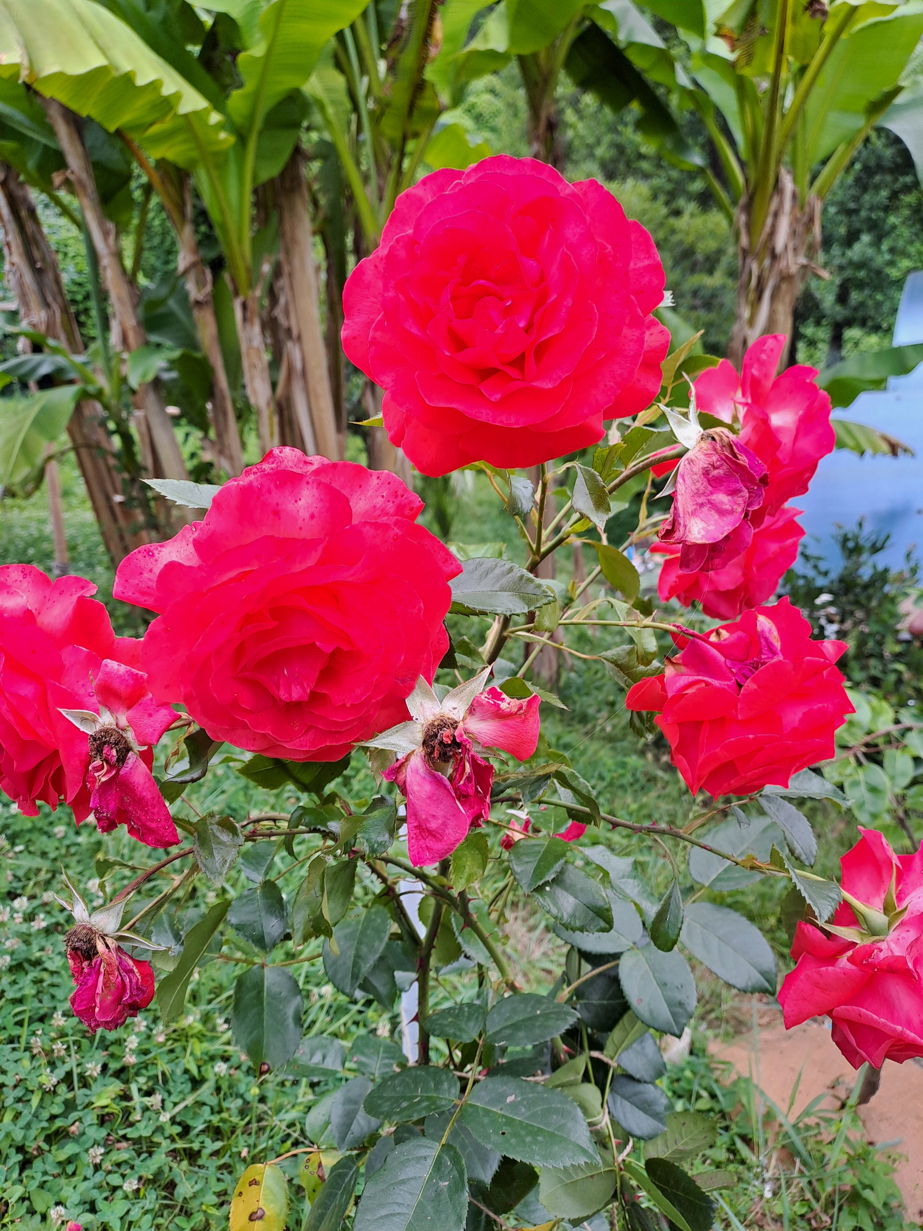 Фото Заповедник