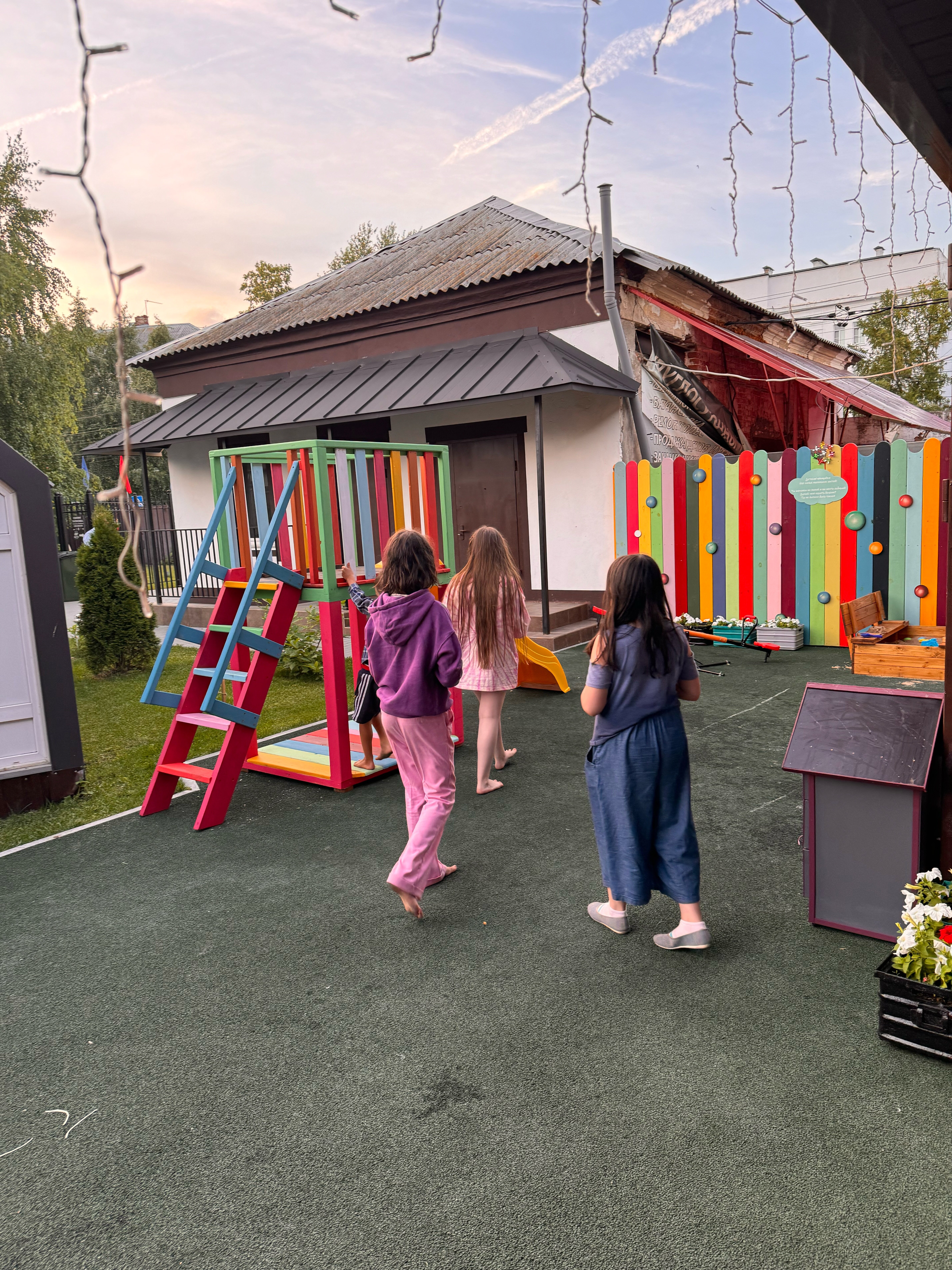 Фото Два гуся