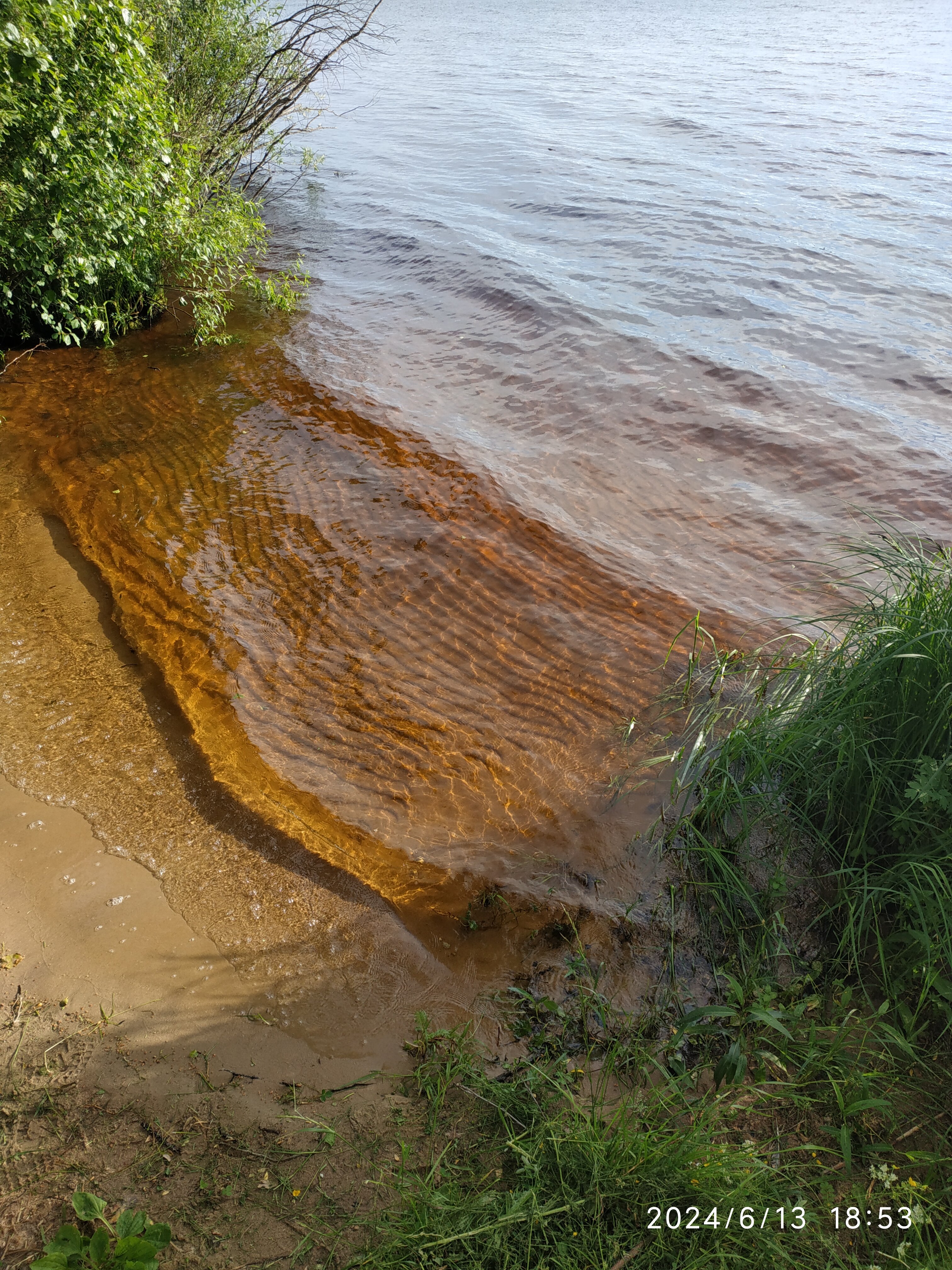 Фото Орлинка