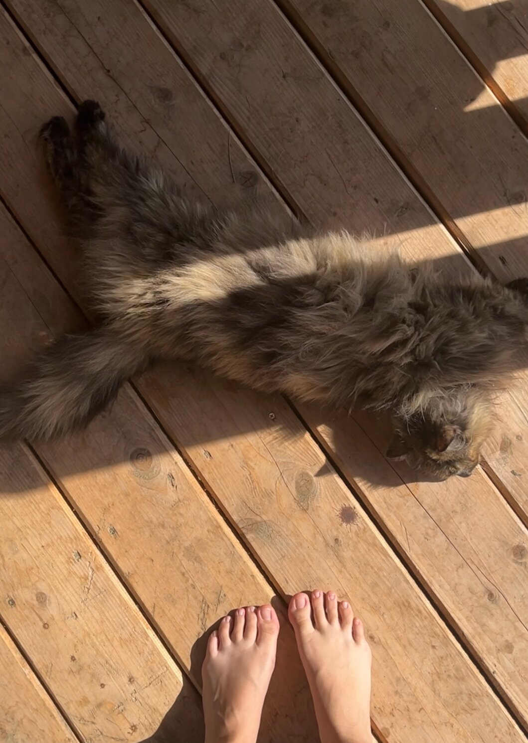 Фото Друзья