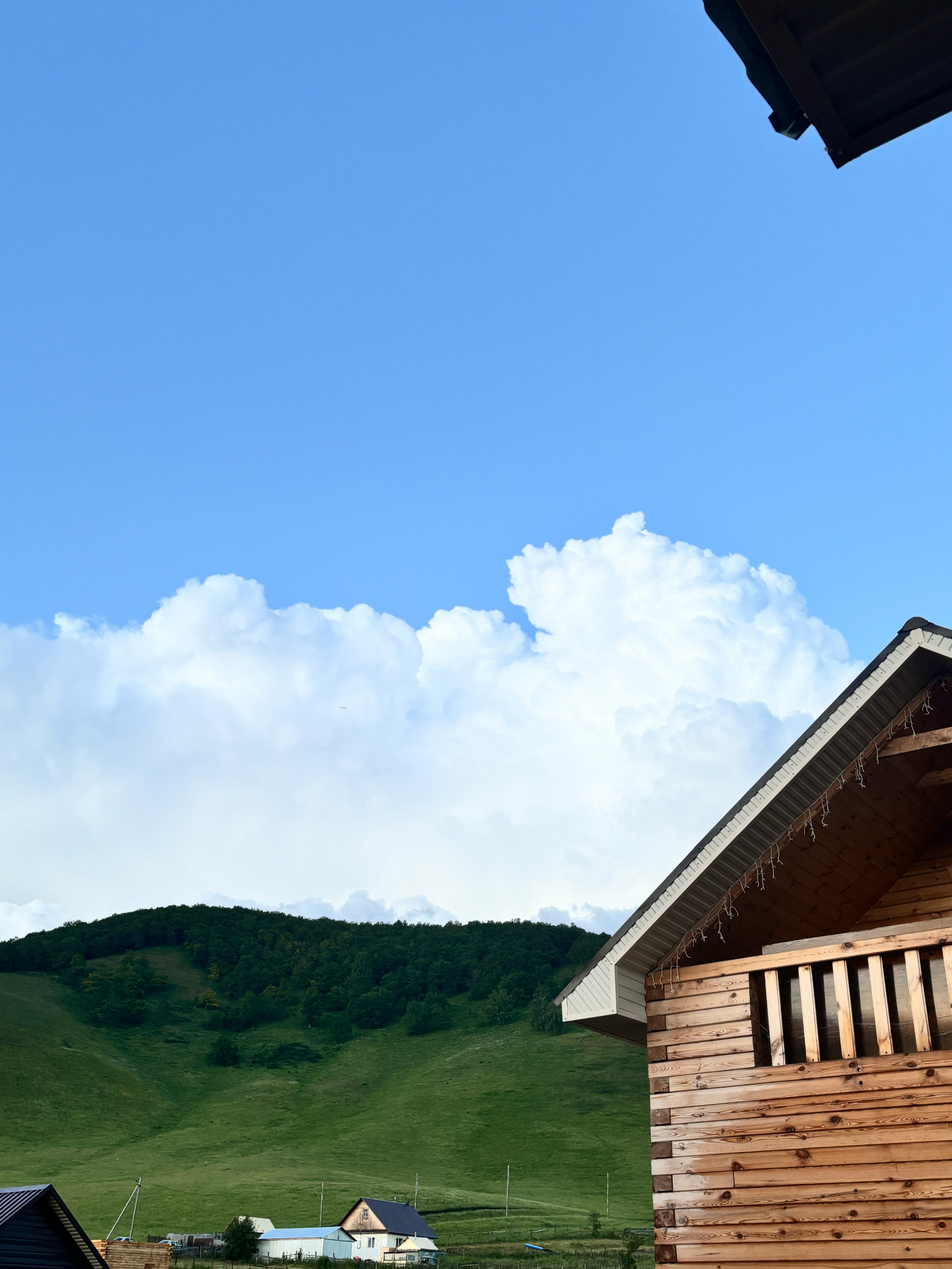 Фото Медвежья поляна