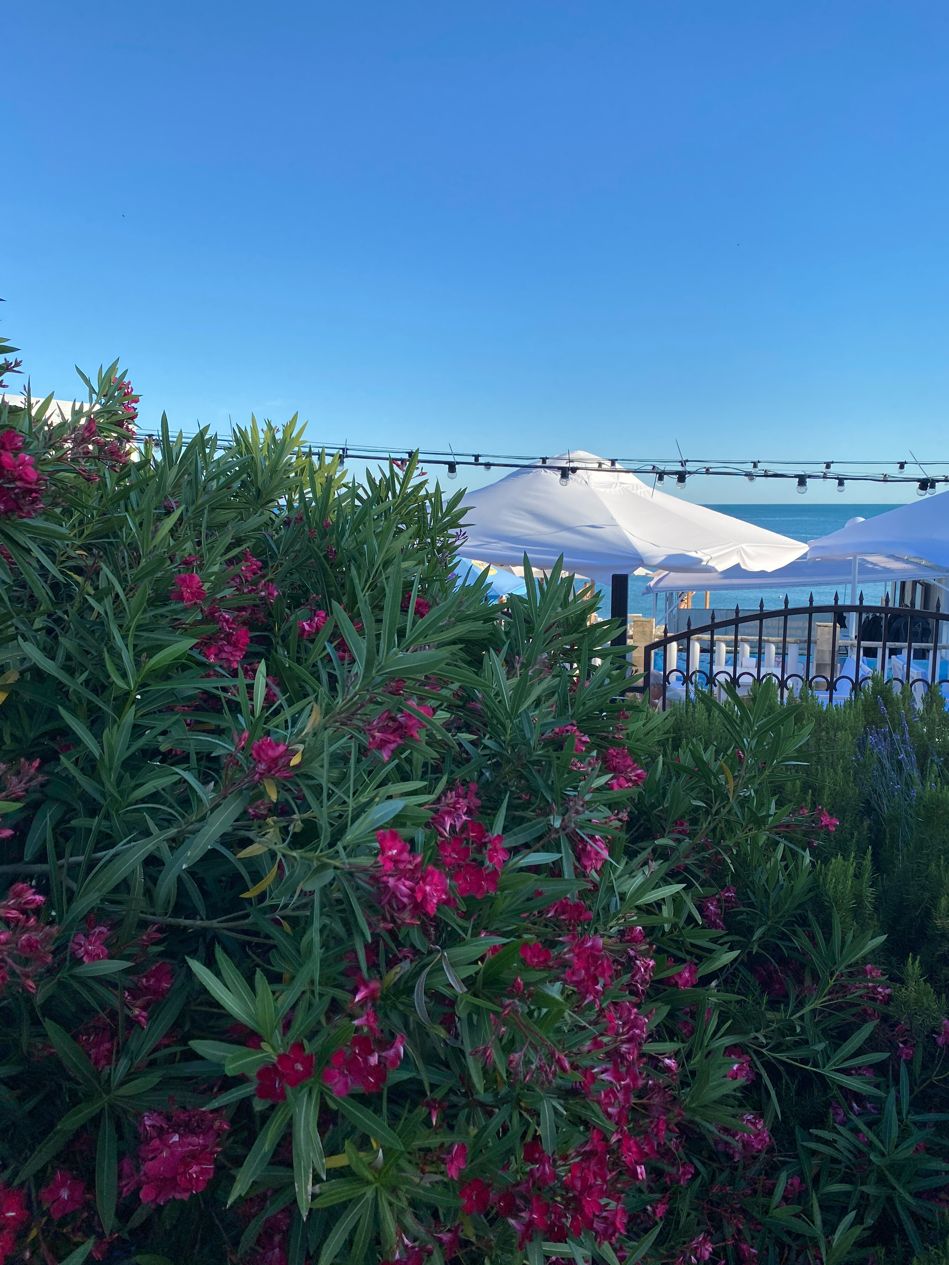 Фото Морской клуб