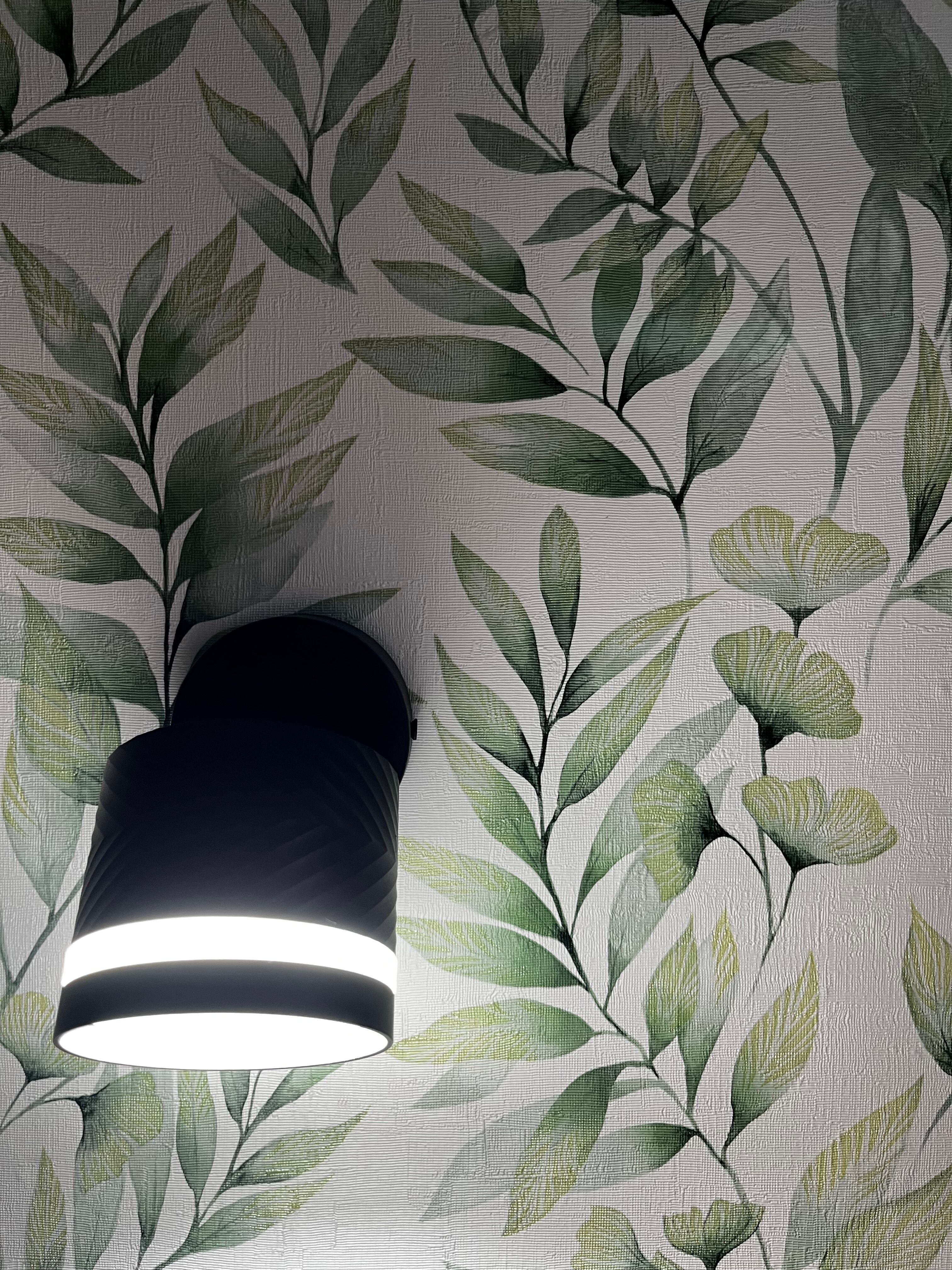 Фото Плесецкая