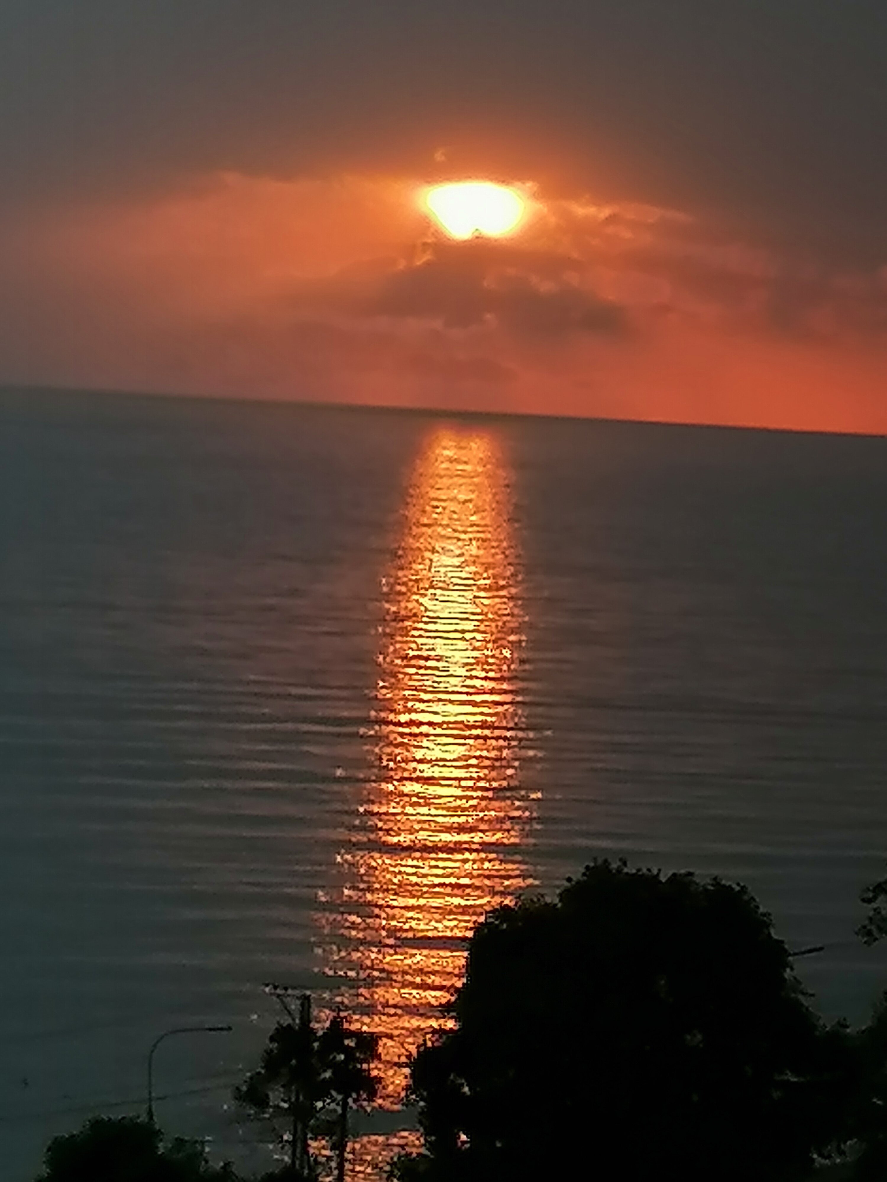 Фото Регалия