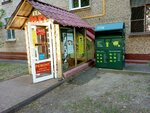 Zelenaya Kaplya (Marshala Rybalko Street, 11), compra de materiales reciclables