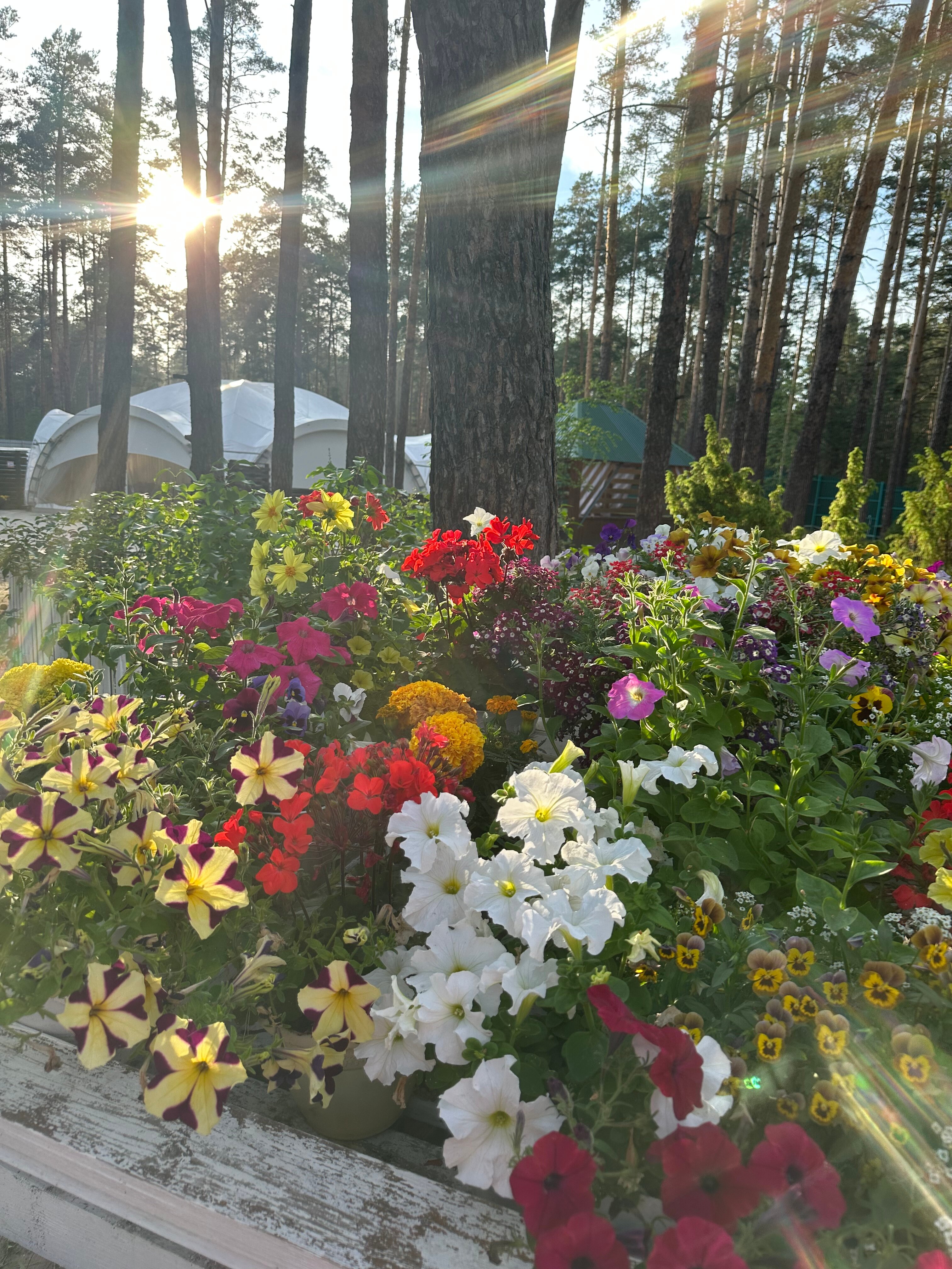 Фото Усадьба Жемчужная